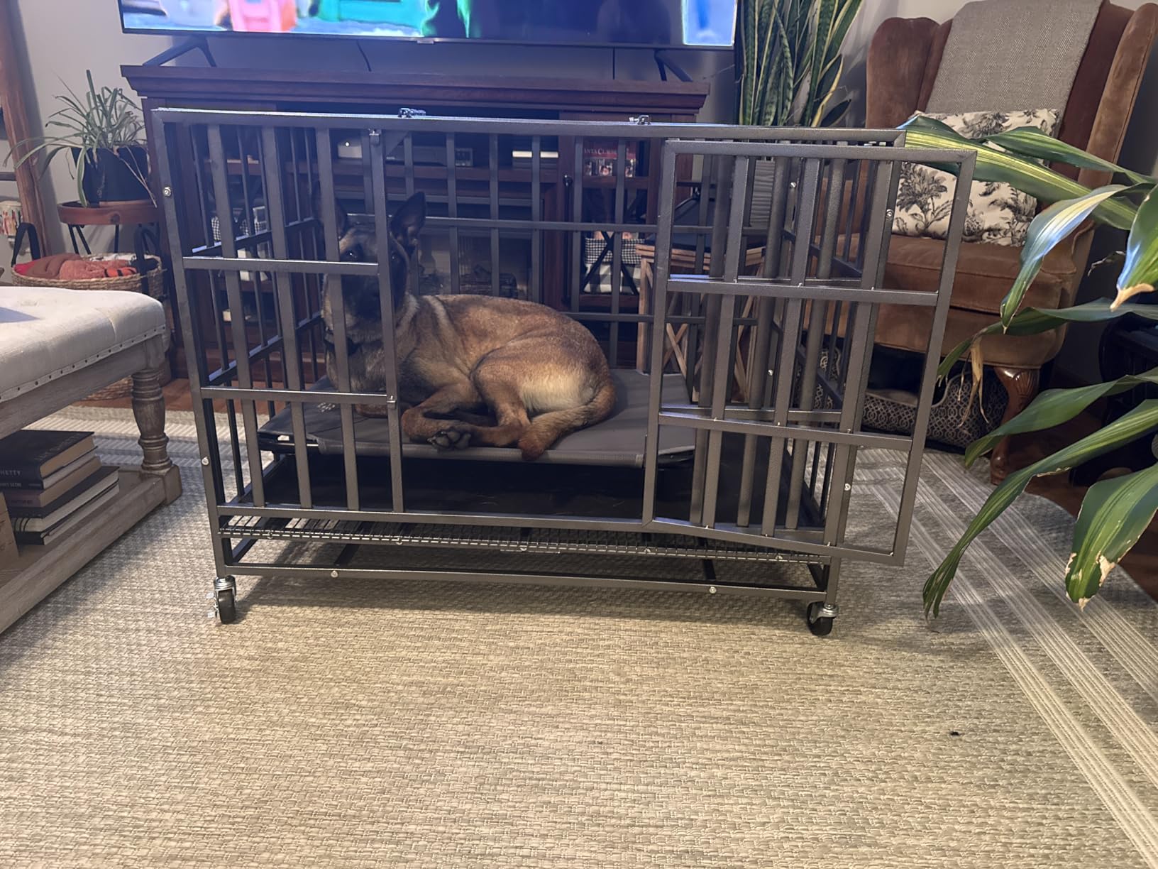 Hiwokk 48 Inch Heavy Duty Dog Crate, Indestructible Escape-Proof Dog Kennel for High Anxiety Large Dogs, Strong Metal Pet Cage with Double Doors, Lockable Wheels & Removable Tray, XL XXL XXXL customer photo 2