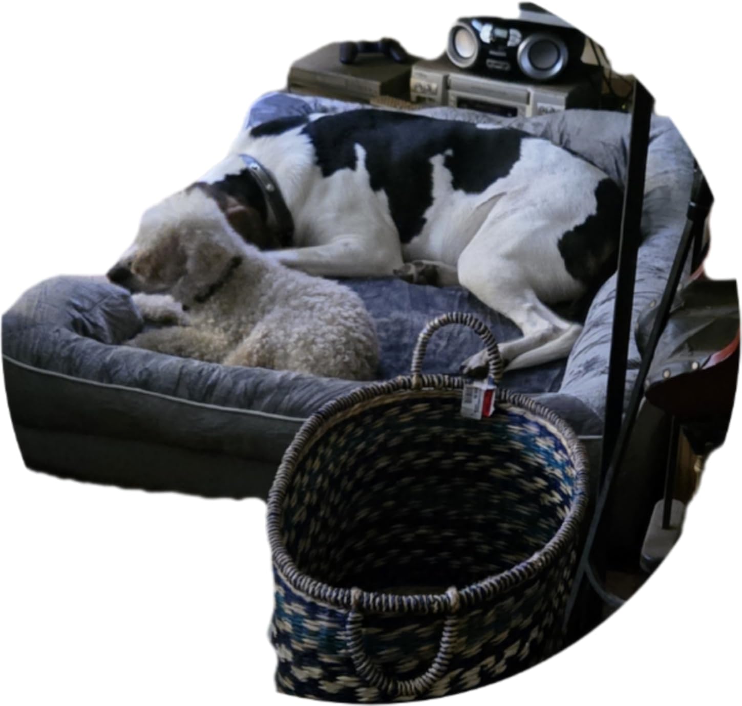 EHEYCIGA Orthopedic Dog Beds for Extra Large Dogs 44x32Inch, Waterproof Memory Foam XL Pet Bed with Sides, Non-Slip and Egg-Crate Foam Big Dog Couch Bed with Washable Removable Cover, Grey customer photo 1