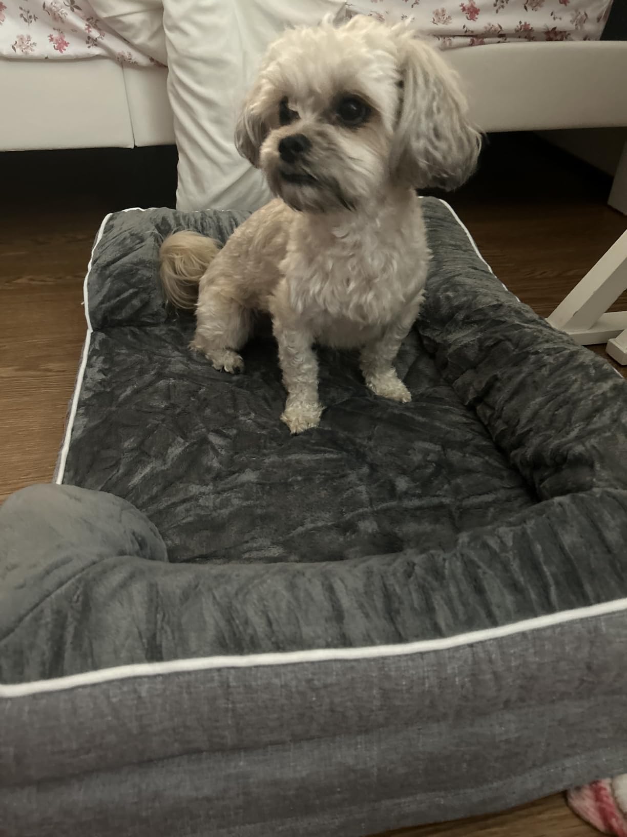 EHEYCIGA Orthopedic Dog Beds for Extra Large Dogs 44x32Inch, Waterproof Memory Foam XL Pet Bed with Sides, Non-Slip and Egg-Crate Foam Big Dog Couch Bed with Washable Removable Cover, Grey customer photo 2