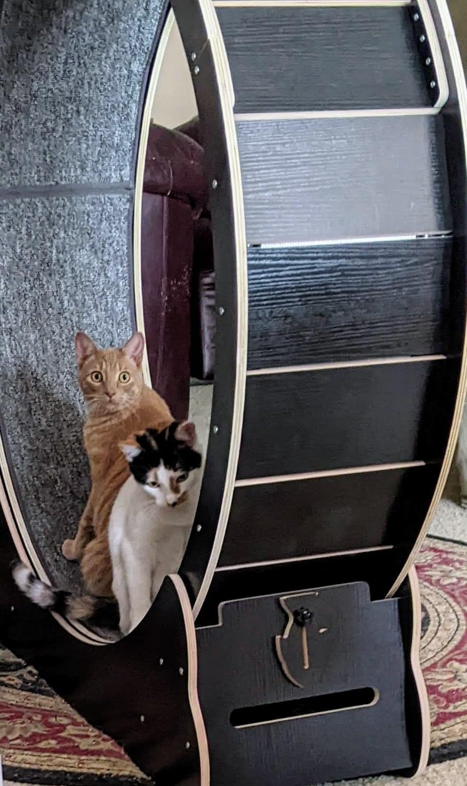 Homegroove Cat Exercise Wheel for Indoor Cats, 46