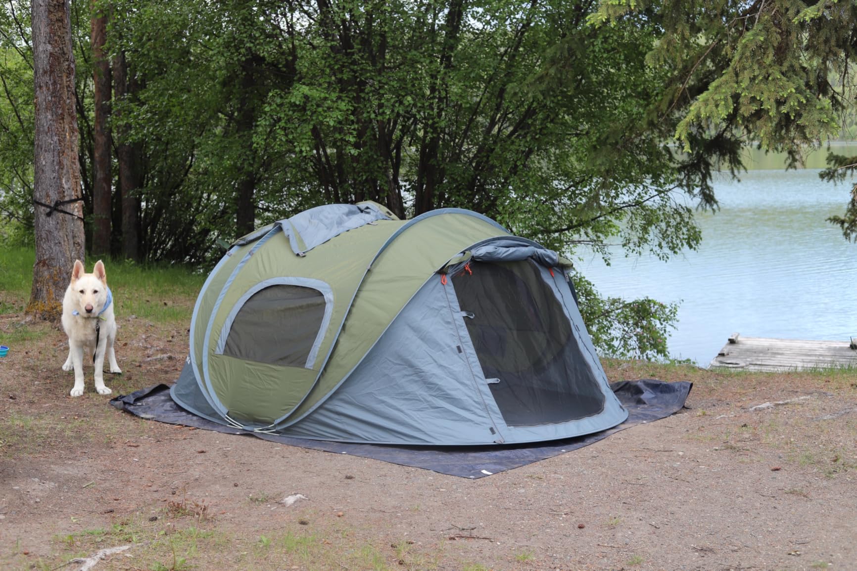 Night Cat Pop-up Camping Tent: 2/3/4/6 Person Tent Waterproof Instant Easy Setup Family Tent customer photo 2