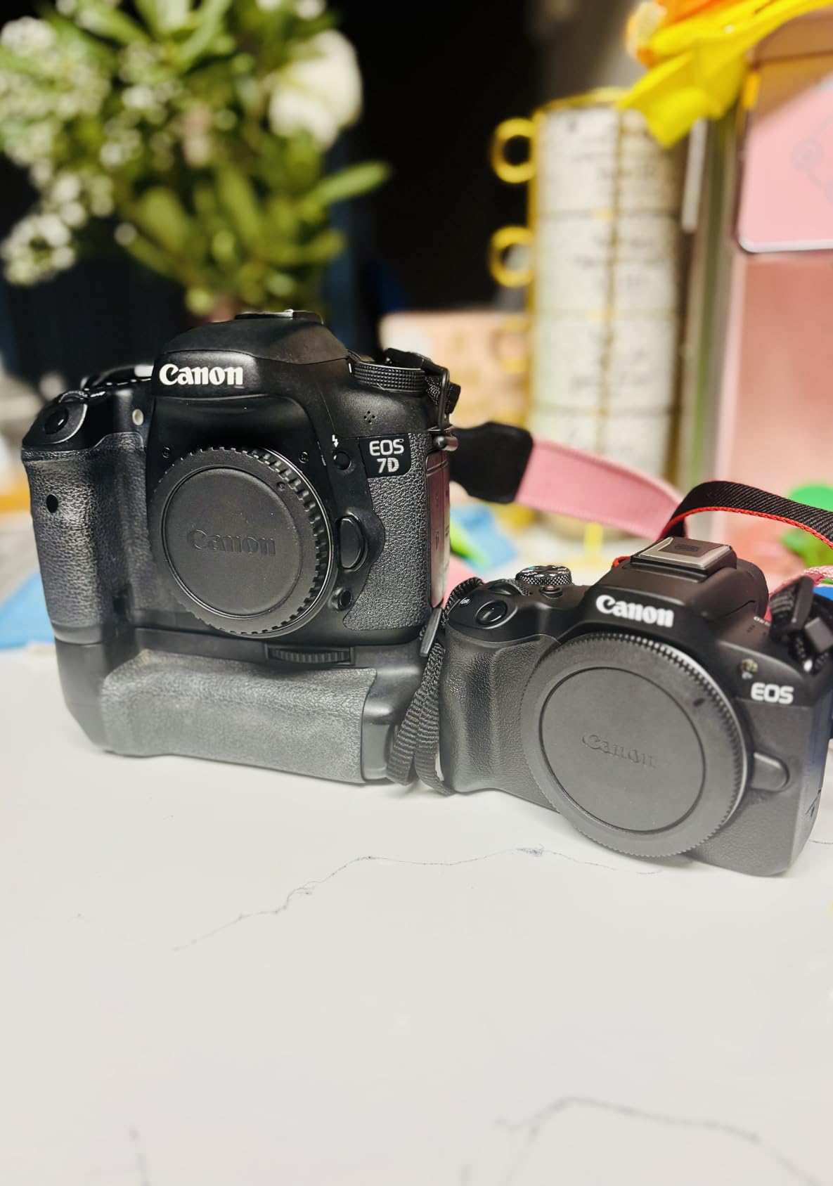 Canon EOS R50 Mirrorless Vlogging Camera (Body Only), RF Mount, 24.2 MP, 4K Video, DIGIC X Image Processor, Subject Detection & Tracking, Compact, Smartphone Connection customer photo 1