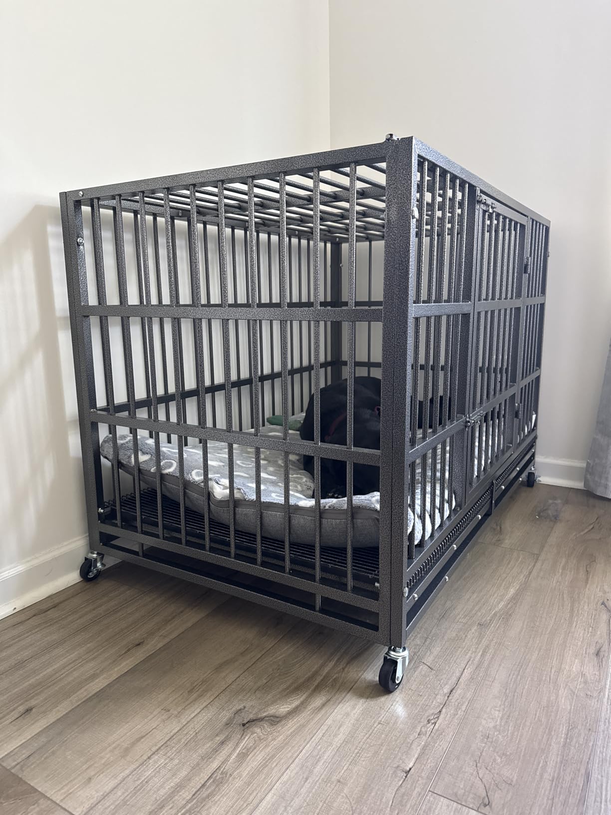 BOLDBONE 48 inch Heavy Duty Indestructible and Escape-Proof Dog Crate Cage Kennel for Large Dogs, High Anxiety Dog Crate with Removable Wire Trays and Wheels, Extra Large XL XXL, Black customer photo 2
