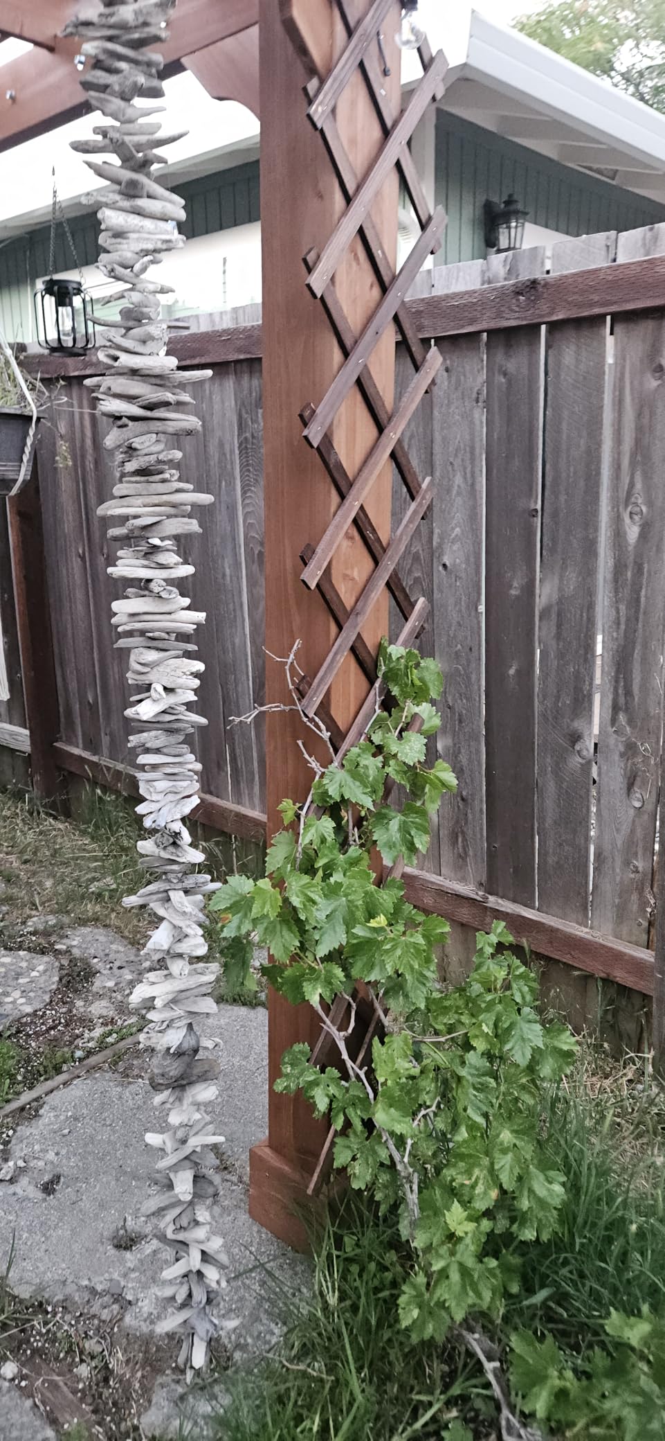 Expandable Garden Trellis, 38