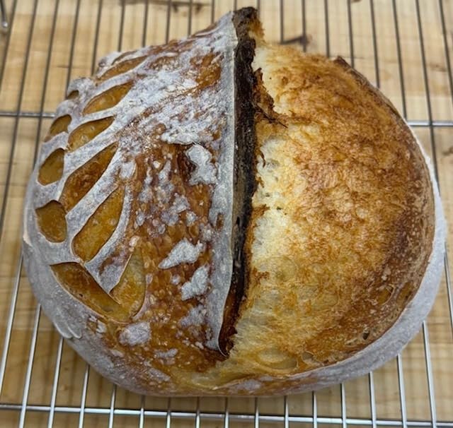 Pre-Seasoned Cast Iron Dutch Oven Pot with Lid Dual Handle, Sourdough Bread Baking Pots, Bread Oven, Camping, Grill, Induction, Electric, Round 5 Quart, Black customer photo 1