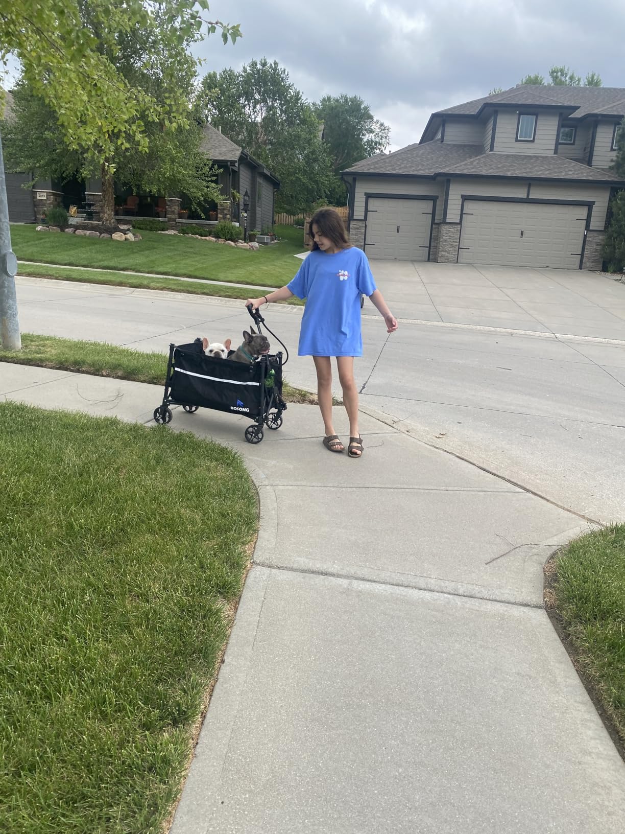 ROSONG Collapsible Wagon Cart with Wheels Foldable - Folding Utility Heavy Duty Wagons Carts for Grocery Sports Garden Shopping Camping Wheelbarrows (Black, 120L) customer photo 2