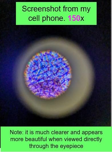 The Thames & Kosmos Microscope Essential STEM Tool with Smartphone Adapter to Capture & View Microscopic Images, Entry-Level Student Science Device, 60x to 600x Magnification & 45 Accessories customer photo 1