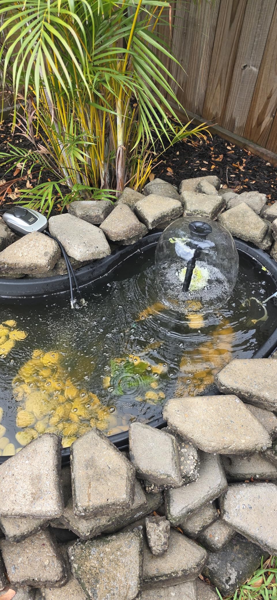 POPOSOAP Pond Filter with Pump Fountain Kits, 660GPH Pond Filter with 40W Pond Pump & Fountain Kit, Koi Pond Filters for Outdoor Ponds Clean, Clear, and Add Water Features customer photo 2