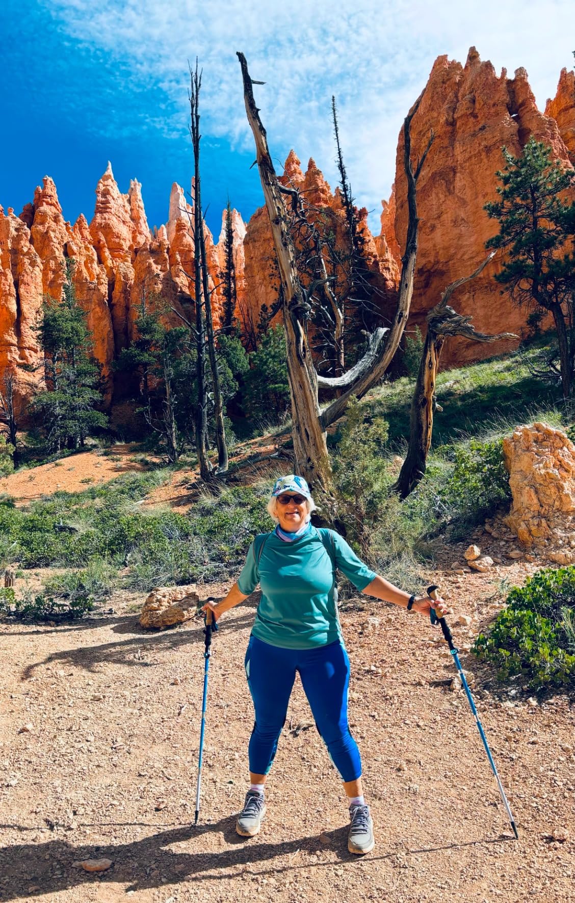 KINGGEAR TPC 100% Carbon Fiber Hiking Poles, Telescopic Retractable Nordic Trekking Poles, Ultra Lightweight Nordic Walking Stick, Metal Flip Locks, Cork and Extended EVA Handle customer photo 2
