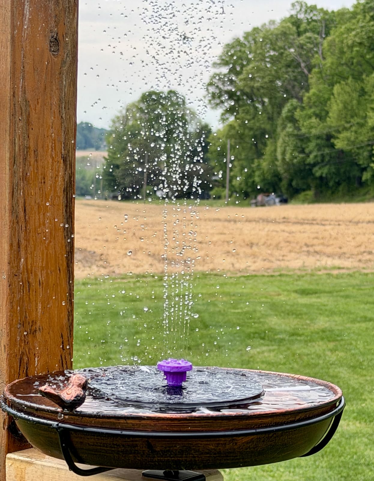 3.5W Solar Bird Bath Fountain Pump, Solar Powered Water Pump, Outdoor Water Fountain with 8-in-1 Nozzles, 4 Fixed Pipes for Hummingbirds, Garden, Pool, Pond customer photo 2