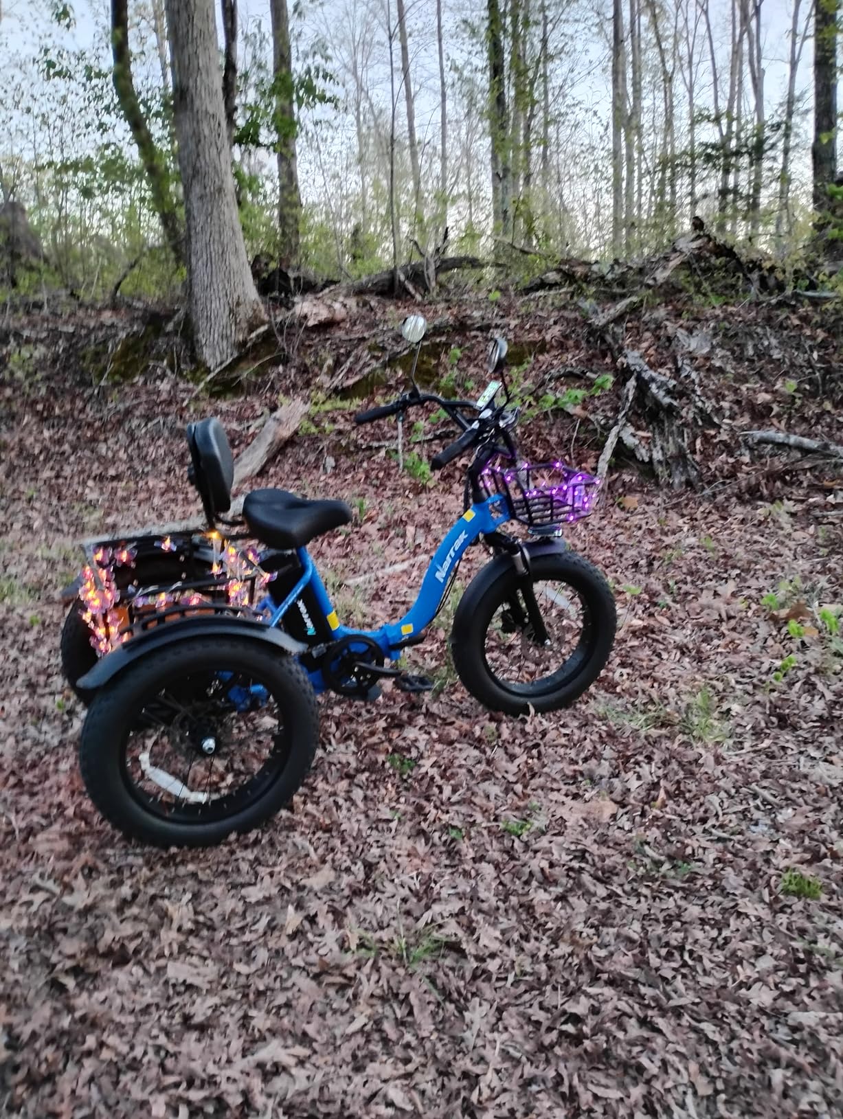 NARRAK Electric Tricycle for Adults, Fat Tire Folding Electric Trike, 3 Wheels Electric Bicycle Bikes, Peak 1350W Step-Thru Etrike with Removable Battery and Large Basket customer photo 1