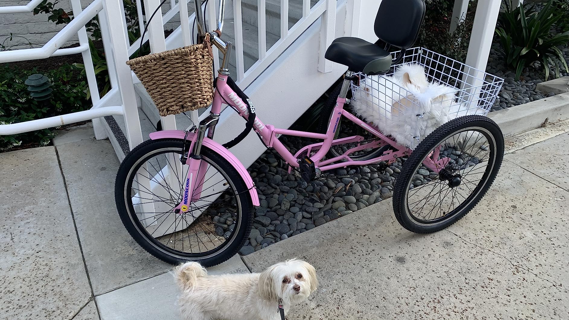 LILYPELLE Adult Folding Tricycles, 7 Speed Folding Adult Trikes, 20/24/26 inch 3 Wheels Bikes with Low Step-Through, Large Basket, Foldable Tricycle for Adults, Women, Men, Seniors customer photo 1