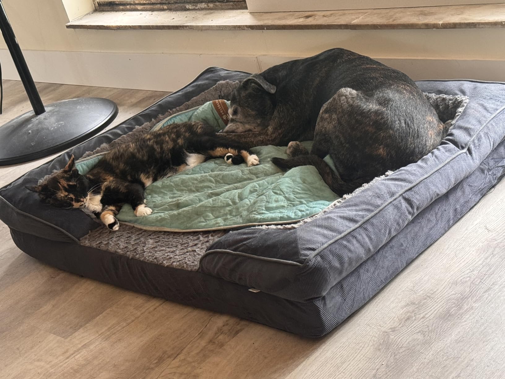 INVENHO Orthopedic Dog Beds Large Sized, XL Washable Dog Sofa with Egg-Crate Foam customer photo 2