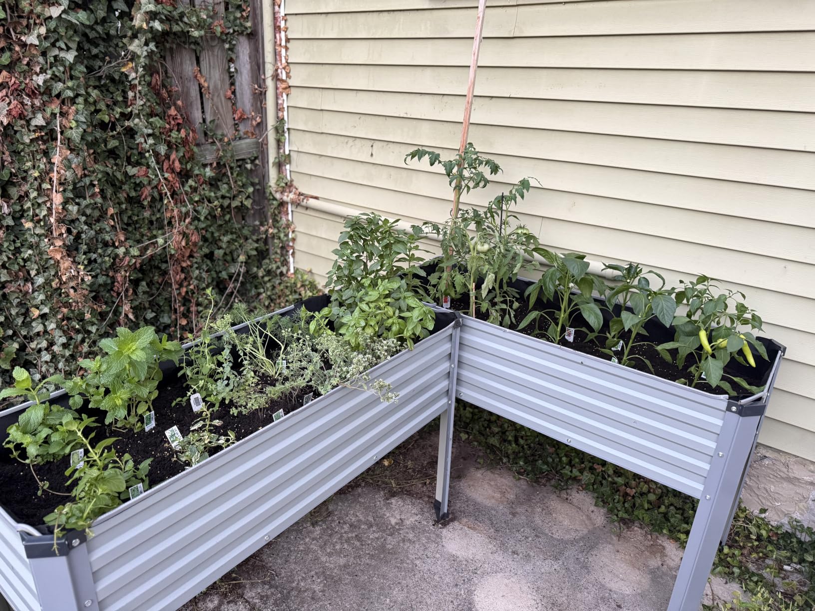 DIIYIV 2PCS Galvanized Raised Garden Bed with Legs,2PCS 48×18×30in Elevated Planter Box for Backyard,Garden, Patio, Balcony, 300lb Capacity,Planters for Outdoor Plants,Black customer photo 2