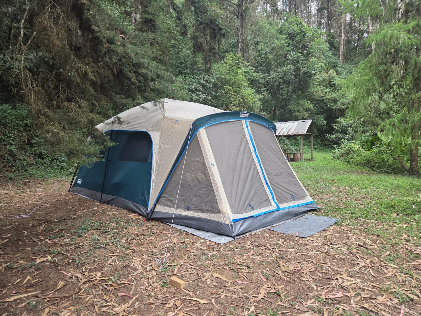 Coleman Skylodge Camping Tent with Rainfly & Screened Porch, XL Weatherproof Family Tent Fits 4 Queen-Sized Airbeds, Color-Coded Poles & Sleeves, Made of PFAS-Free Materials customer photo 1