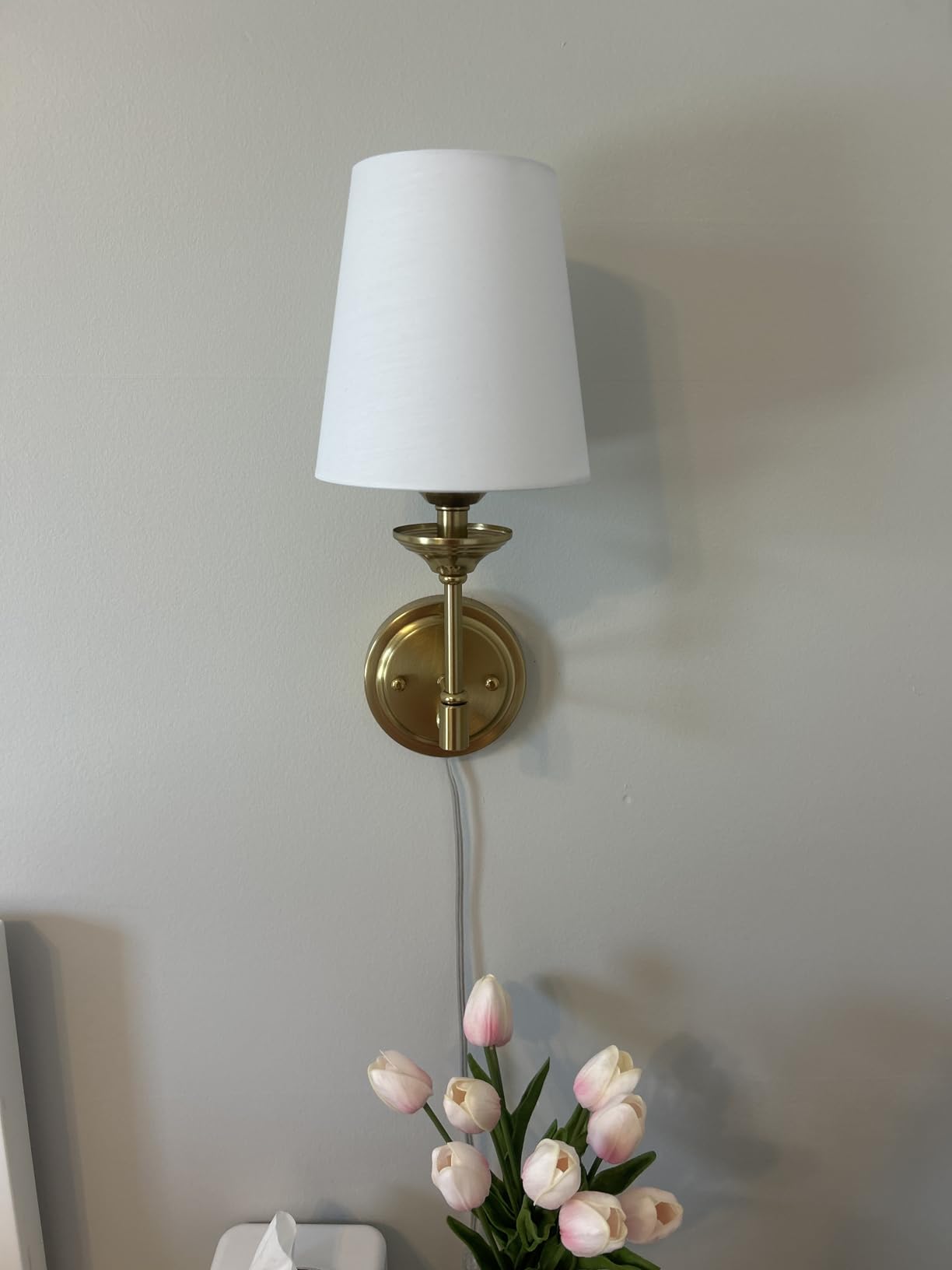 Dimmable Plug in Wall Sconces Set of 2, Gold Bedside Wall Lamp with Knob Dimmer Switch and 6.5FT Electric Cord, Mid Century Modern Bathroom Wall Light Fixture for Bedroom Living Room customer photo 1