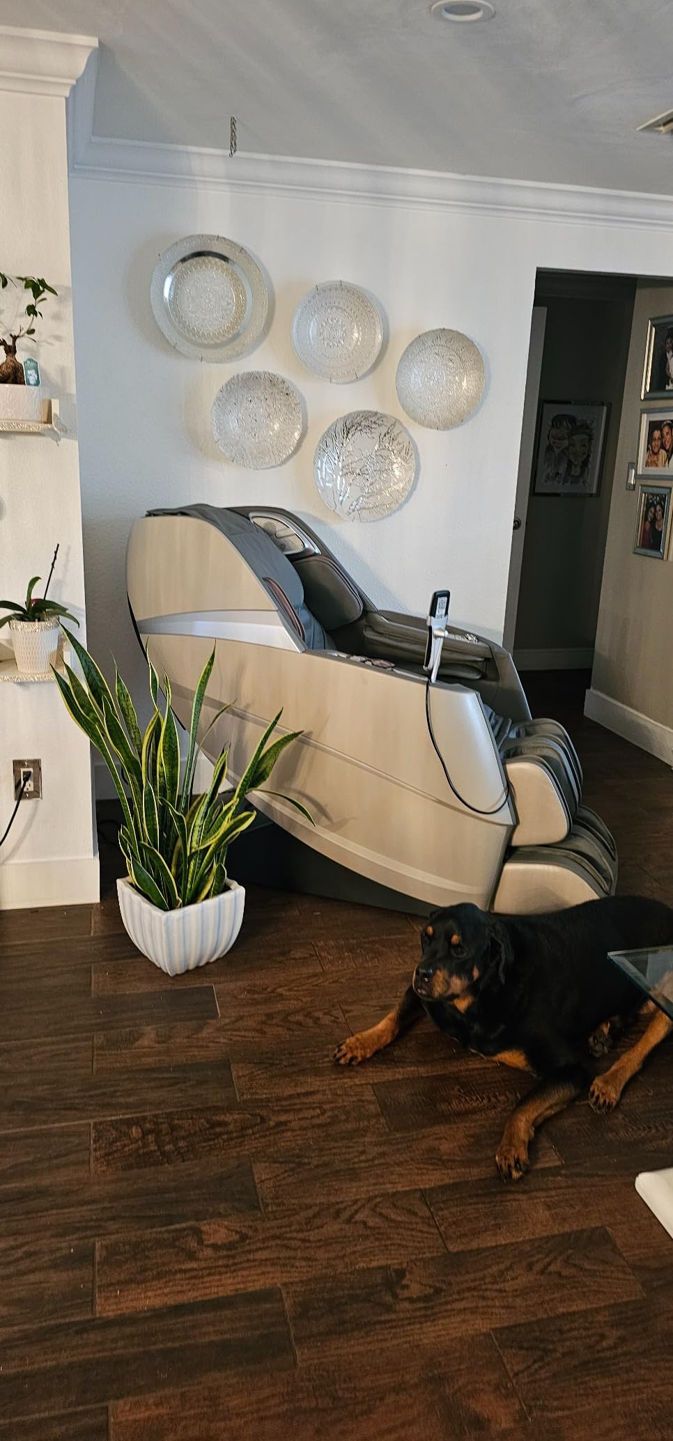 HealthRelife 4D Massage Chair Full Body Zero Gravity Recliner - 55 S+L Track,20 Auto Modes,11 Massage Technique,40 Airbags Massage,with Yoga Stretch,APP Control,Negative Oxygen Ions(Grey) customer photo 2