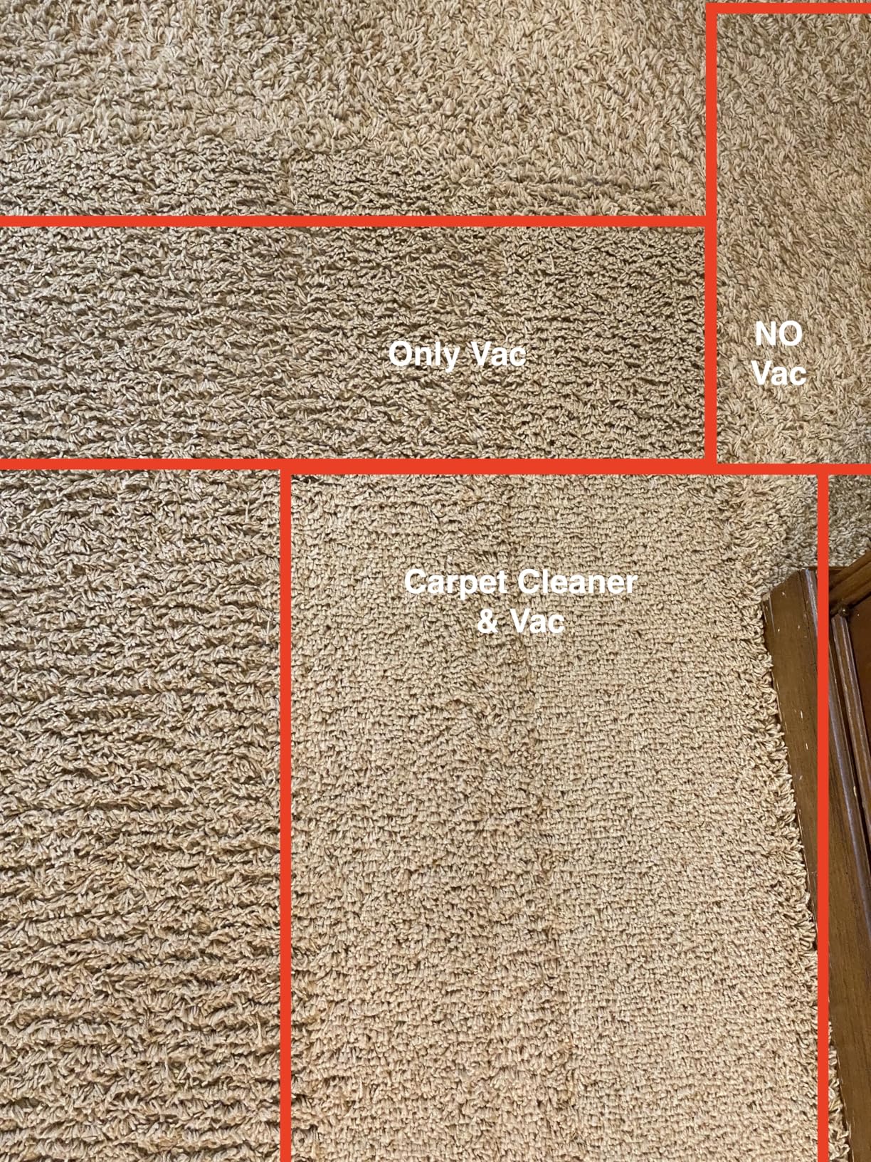 Tineco CARPET ONE Cruiser Smart Carpet Cleaner, Self-Cleaning and FlashDry, Deep Cleaning for Pet, Carpet and Upholstery, 167°F PowerDry, 130W Powerful Suction SmoothPower customer photo 1