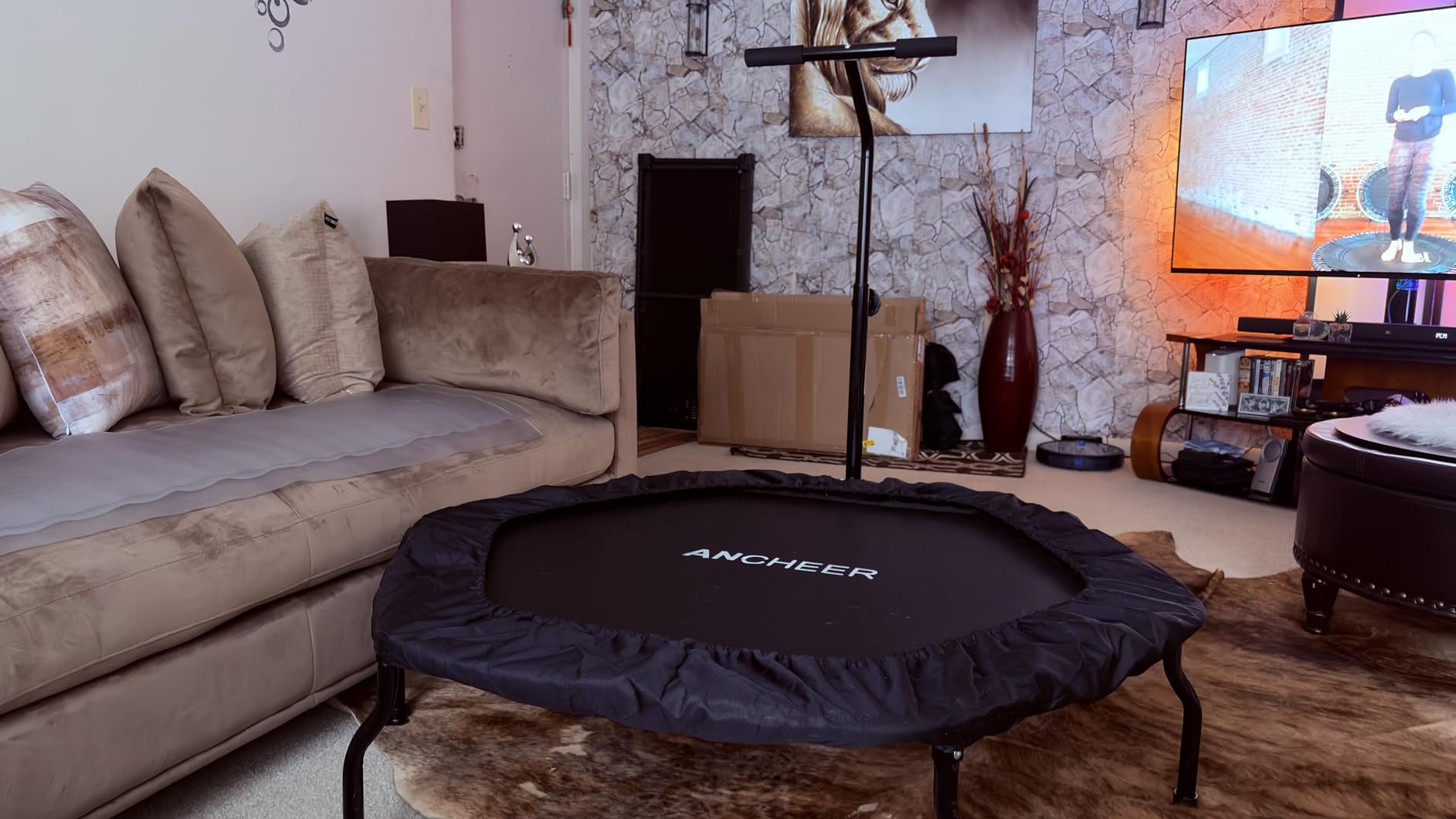 ANCHEER 50