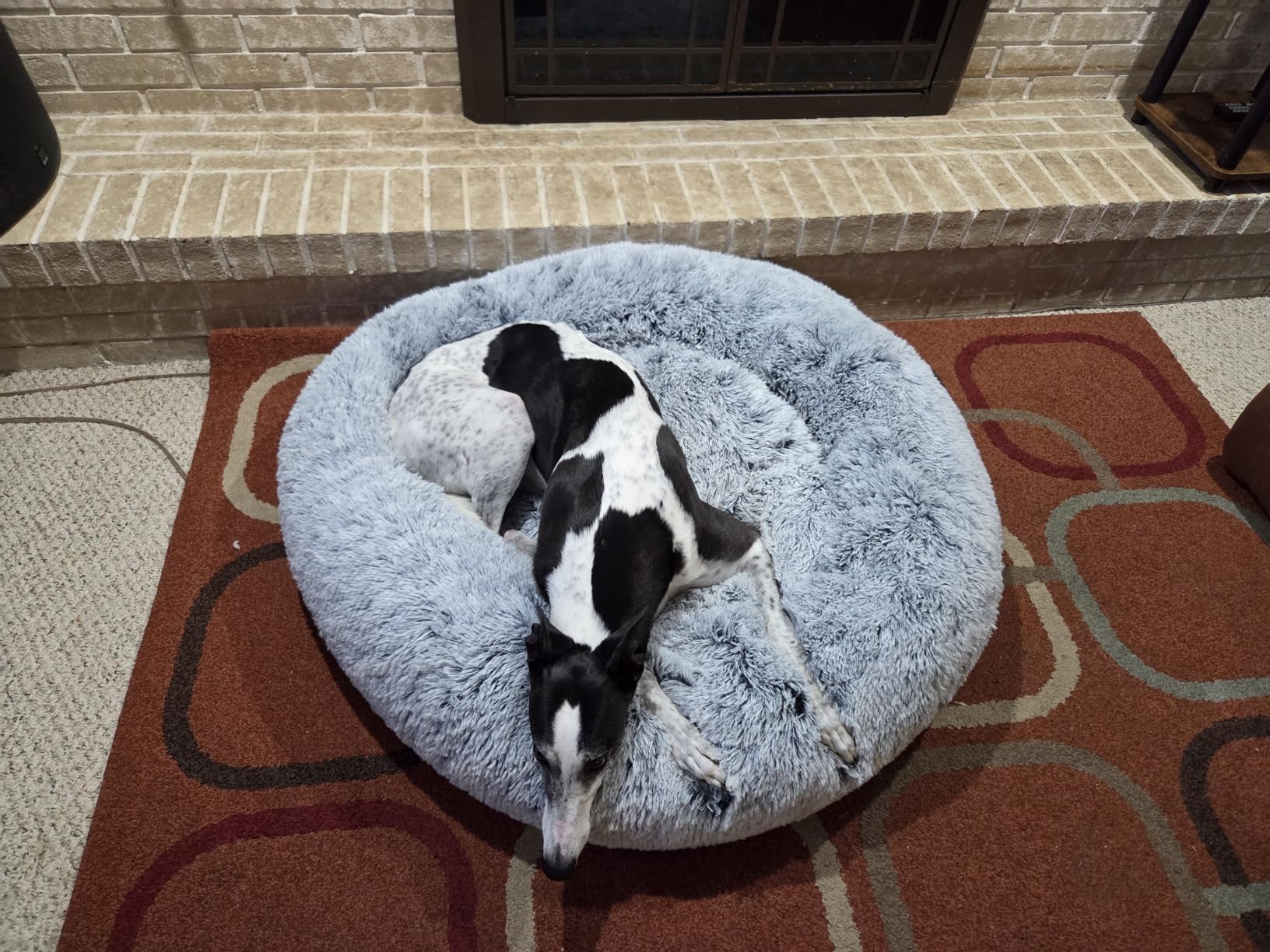 JOLLYVOGUE Small Dog Bed, Calming Dog Beds for Small Dogs & Indoor Cats - 20 Inches Donut Washable Cat Bed for Kittens & Puppies, Round Fluffy Plush Faux Fur Pet Beds (Smoke Grey) customer photo 1