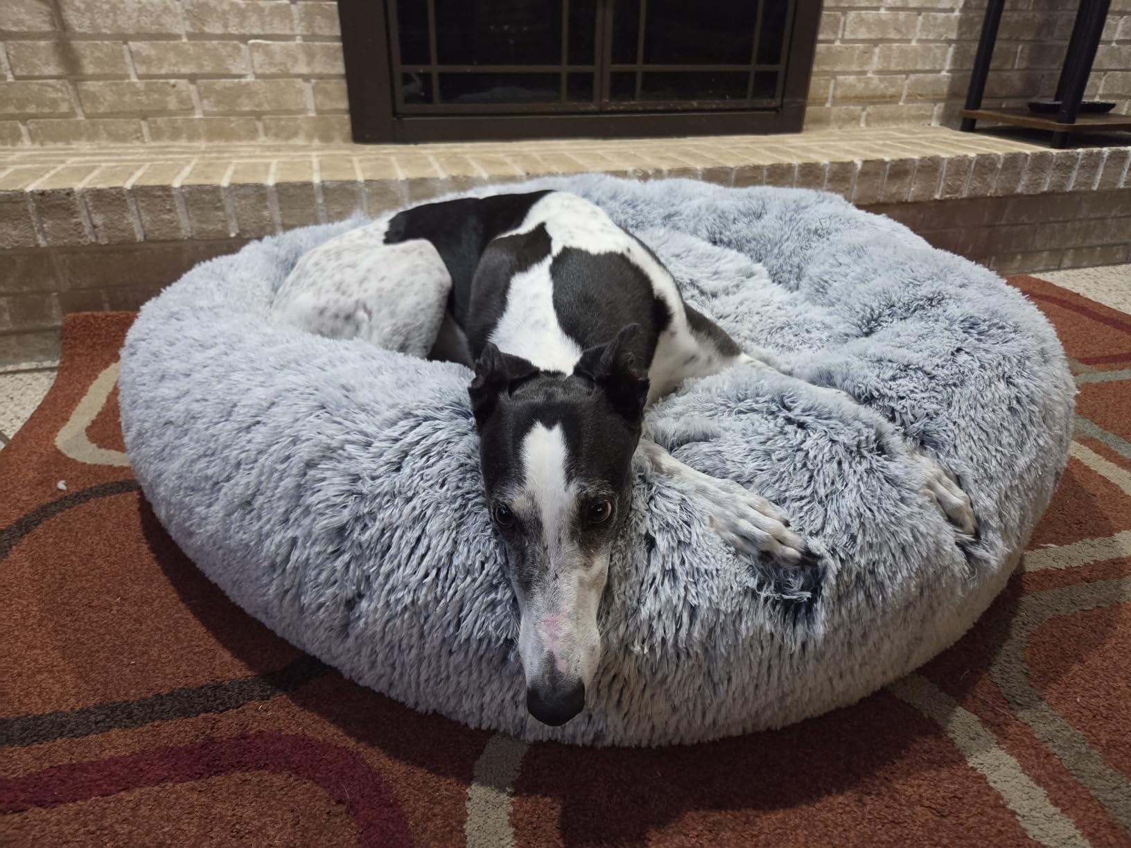 JOLLYVOGUE Small Dog Bed, Calming Dog Beds for Small Dogs & Indoor Cats - 20 Inches Donut Washable Cat Bed for Kittens & Puppies, Round Fluffy Plush Faux Fur Pet Beds (Smoke Grey) customer photo 2