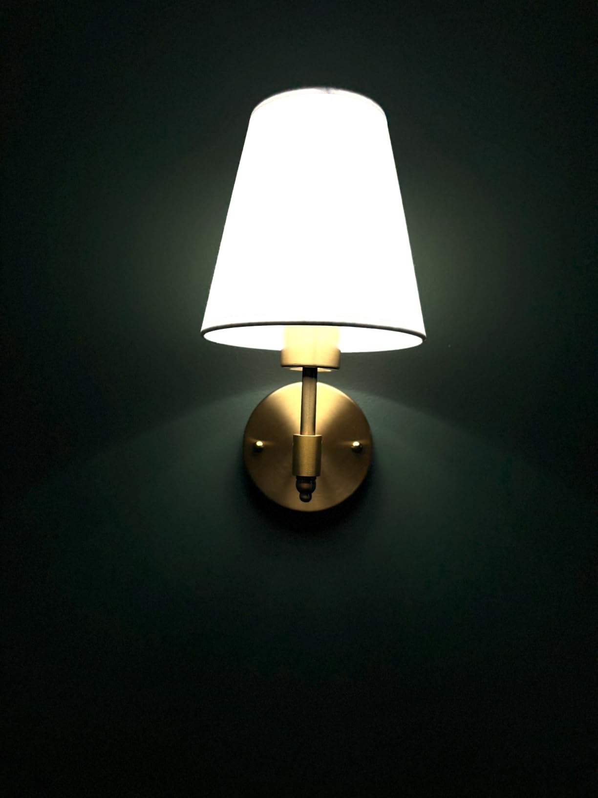 Nekhung Battery Operated Wall Sconces Set of Two, Wireless Battery Wall Light with 10000mAh RGB Dimmable Magnetic Bulb and Remote, Rechargeable Sconce Wall Decor for Bedroom Living Room Hallway customer photo 1