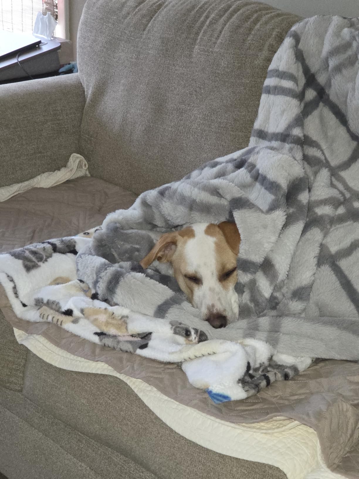 Berkshire Blanket Heated Throw Blanket, Grace Fur to Loftmink Reversible Electric Throw with 4 Heat Levels, Fast Heating Printed Throw for Couch and Bed, Auto Shut-Off Feature (50