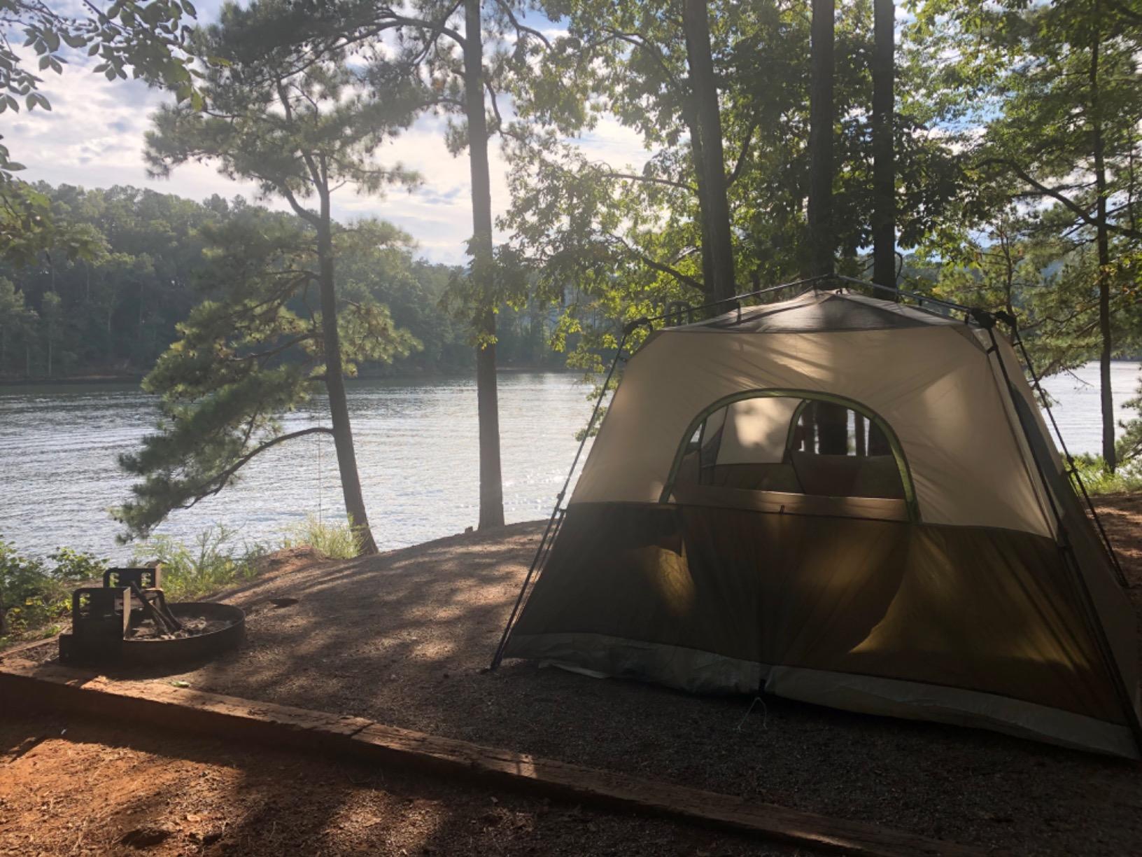 TIMBER RIDGE 8 Person Family Camping Tent with Screen Room, Double Layer Waterproof Weather Resistant Big Tunnel Tent with Rainfly Carry Bag, Large Family Tent for Outdoor Party 20ft x 8ft x 76in customer photo 2