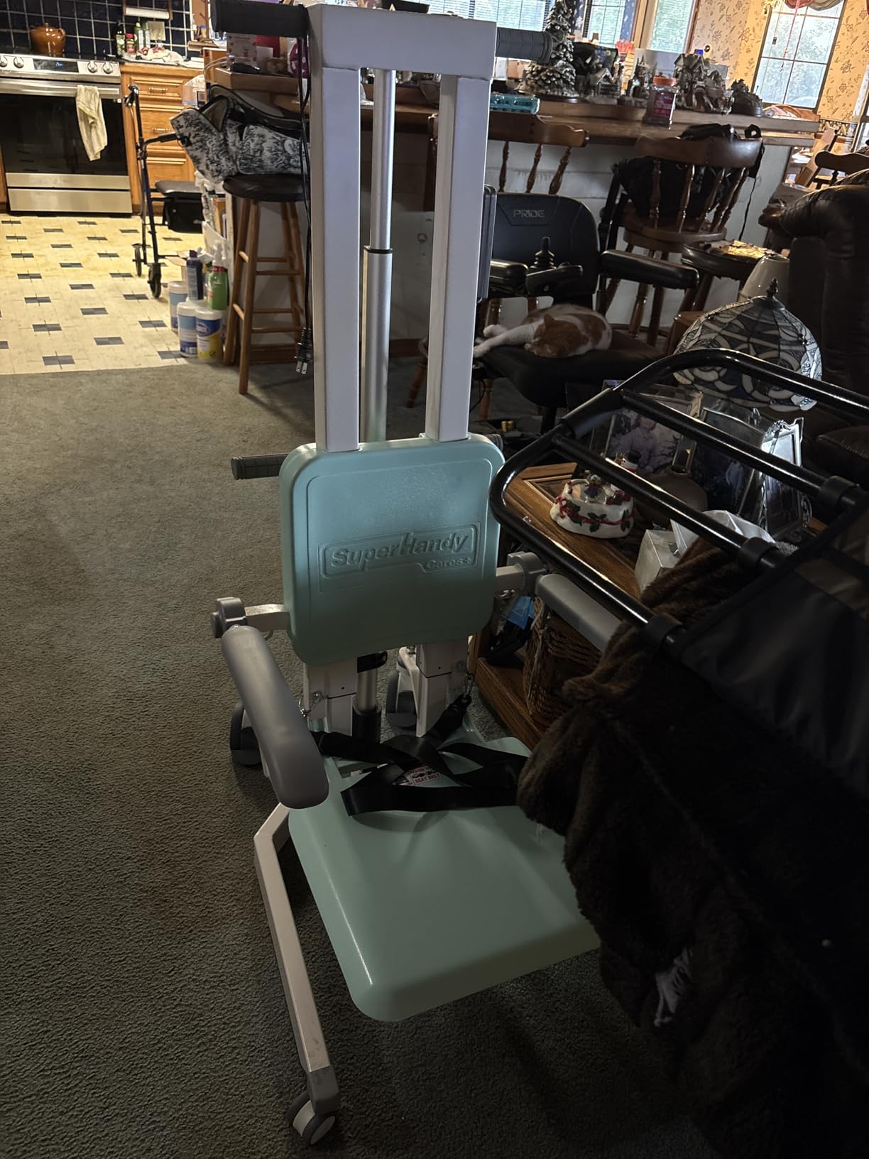 GoRise Electric Floor to Stand Lift - Support Up to 500 Lbs, Floor Lift Chair for Elderly, Patent Pending customer photo 1