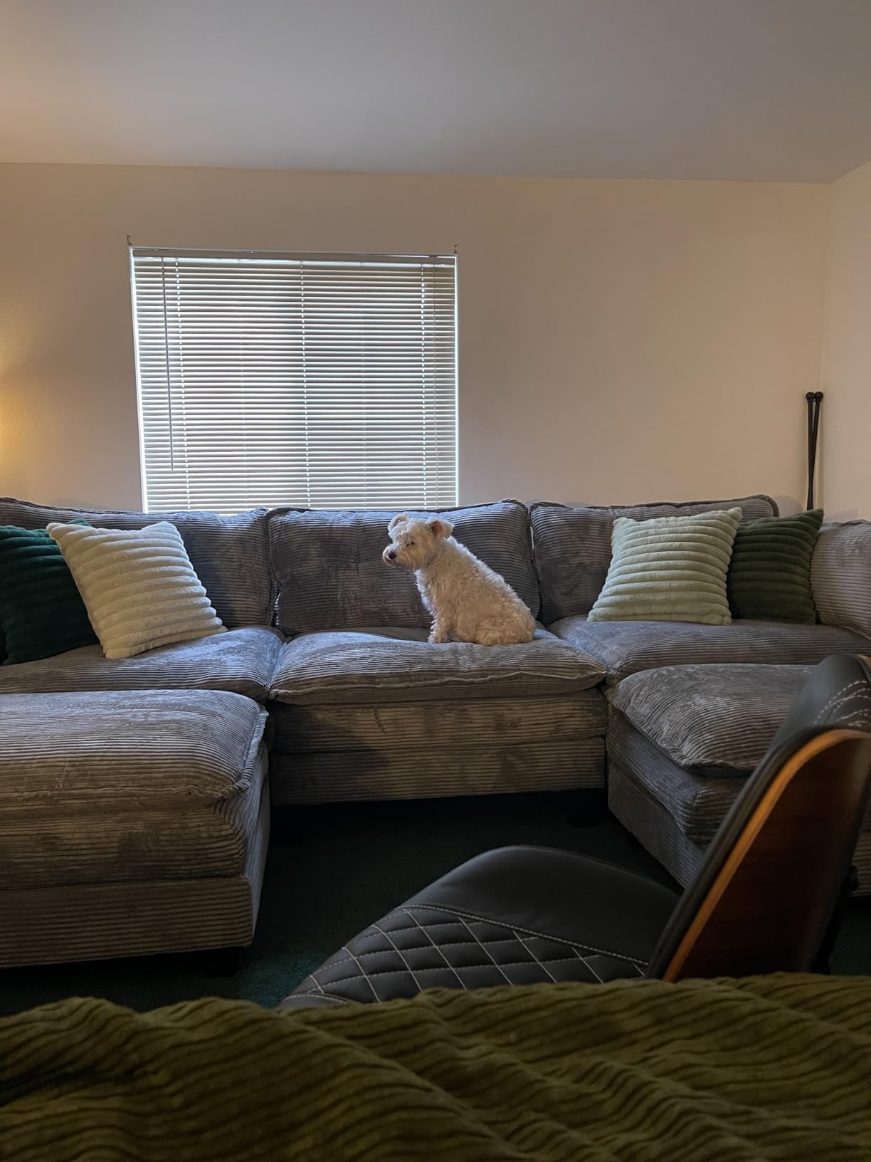 Amsleekey Modular Sectional Sofa, 111.5