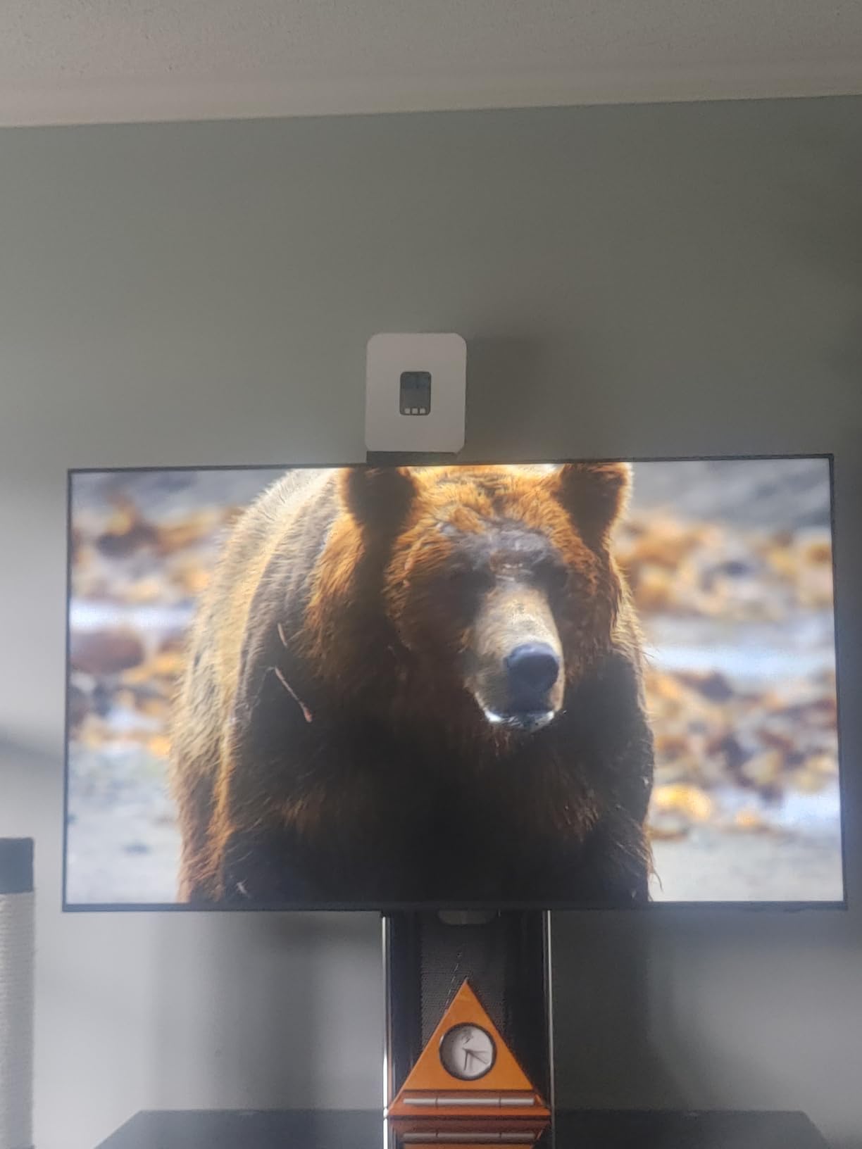 Samsung 43-Inch Class Crystal UHD U8000F 4K Smart TV (2025 Model) Endless Free Content, Processor, MetalStream Design, Knox Security, Alexa Built-in customer photo 1