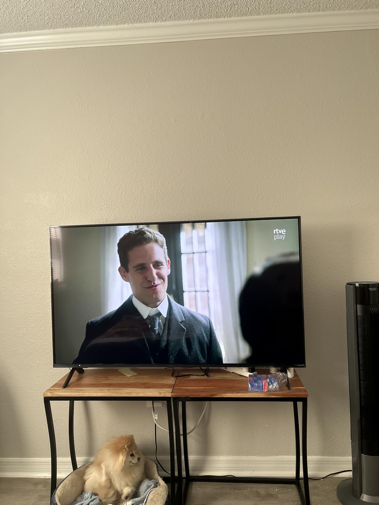 LG 55-Inch Class QNED AI 4K QNED82A Series Smart TV (55QNED82AUA, 2025) customer photo 1
