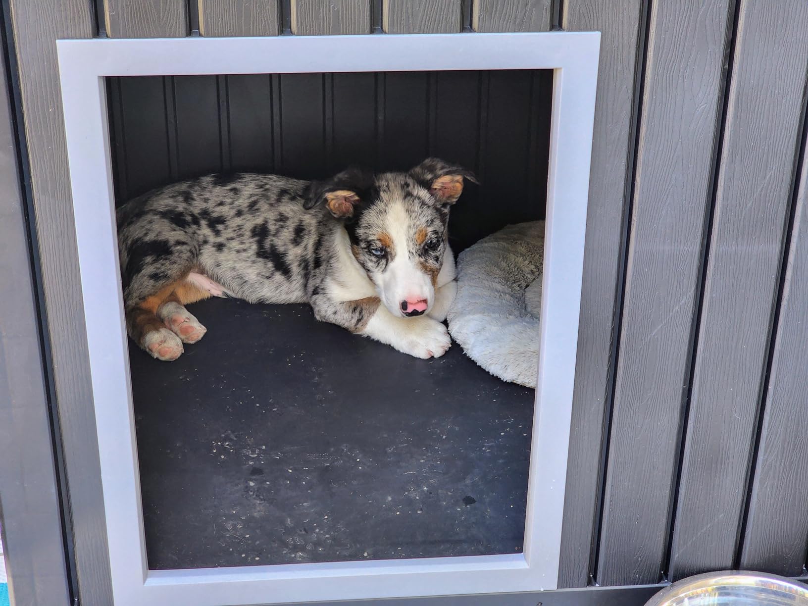 DRATO Large Dog House Outdoor for Indoor, Gray, 42.87 * 32.95 * 31.61 in | Weatherproof, Removable Roof, Fits Small to Large customer photo 1