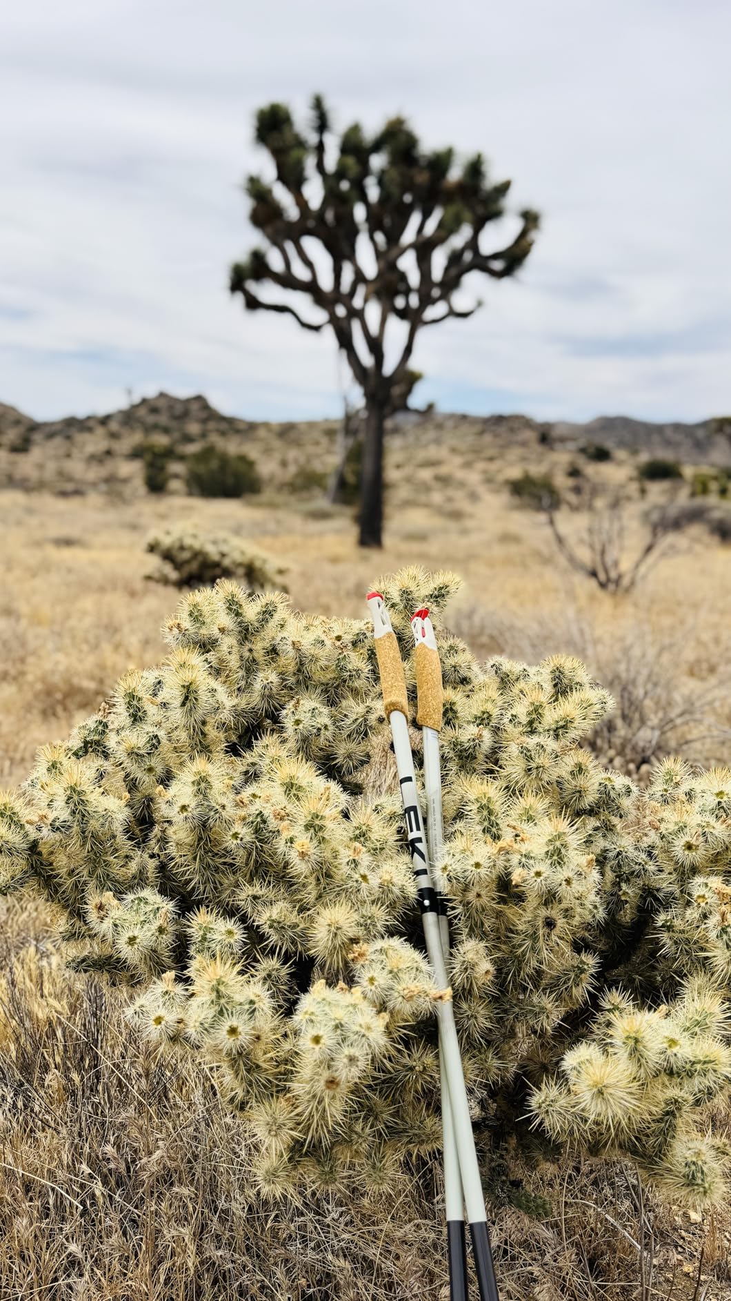 LEKI Ultratrail FX.One Trekking Poles - Carbon Foldable Ultralight Poles for Hiking & Trail Running customer photo 1