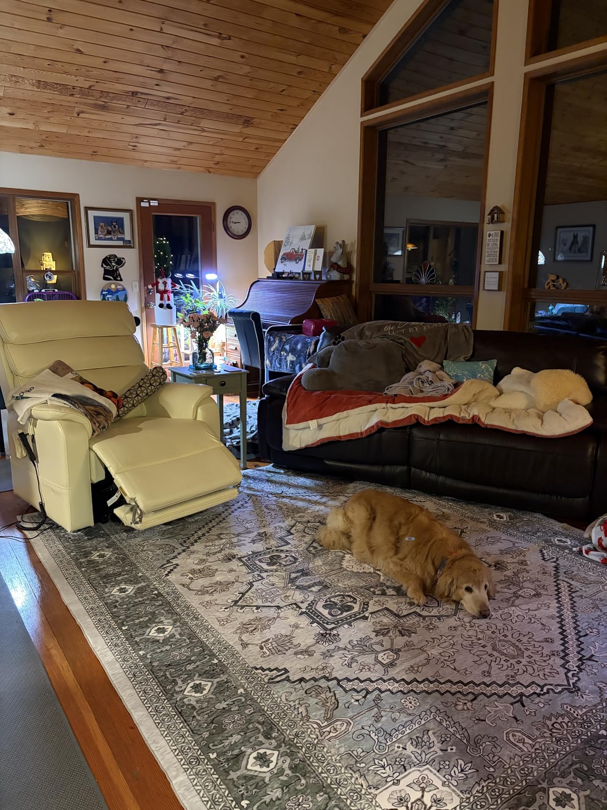 Irene House Power Lift Recliner Chair for Elderly, Dual Motor Lay Flat Lift Chair with Heat & Massage, 350 LBS Capacity (9188, Chenille, Beige) customer photo 1