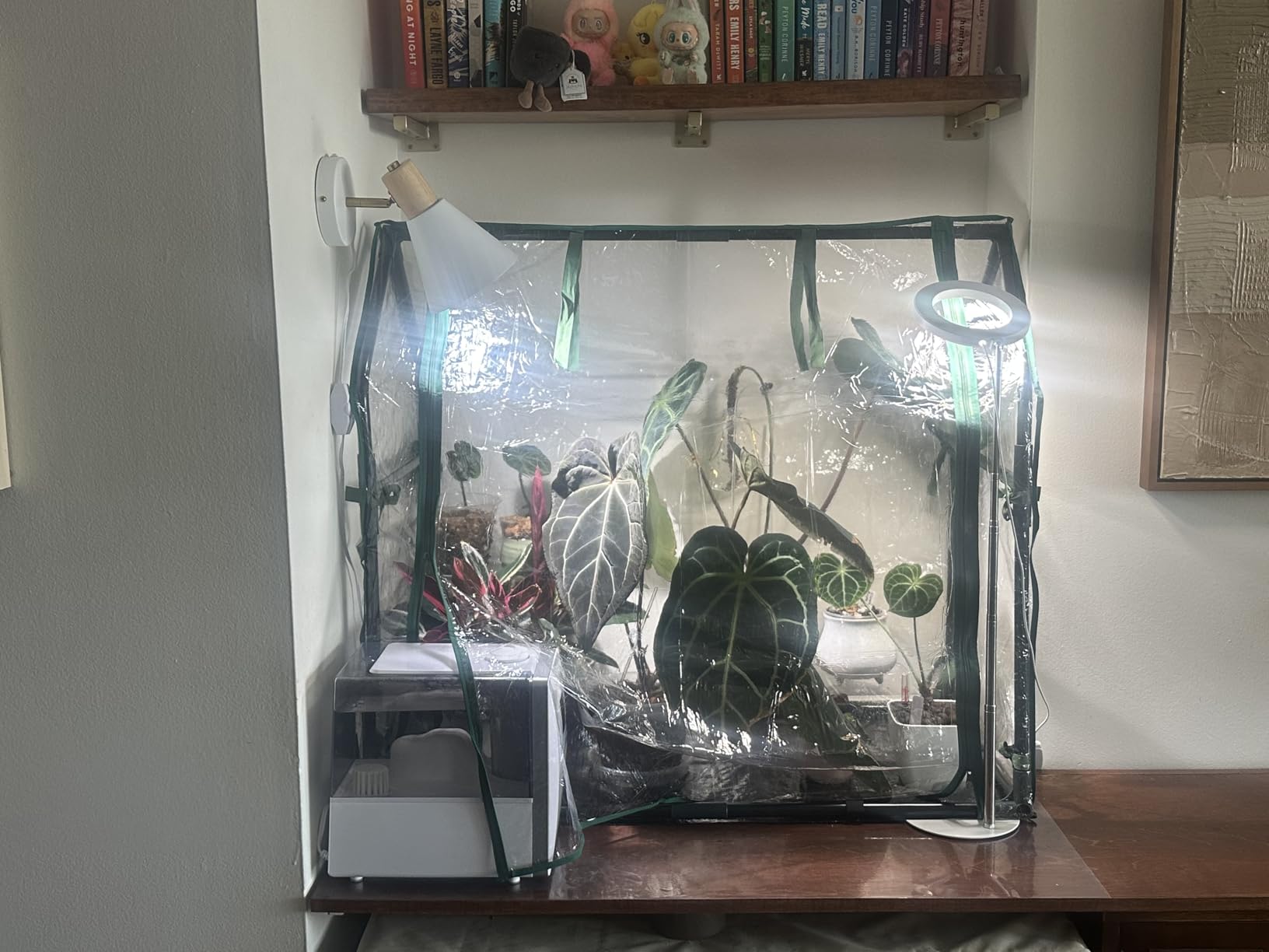 Gardzen Mini Greenhouse, Portable Cold Frame Green House Indoor Outdoor, Small Greenhouse for Seed Starting & Plant Protection, 71.7