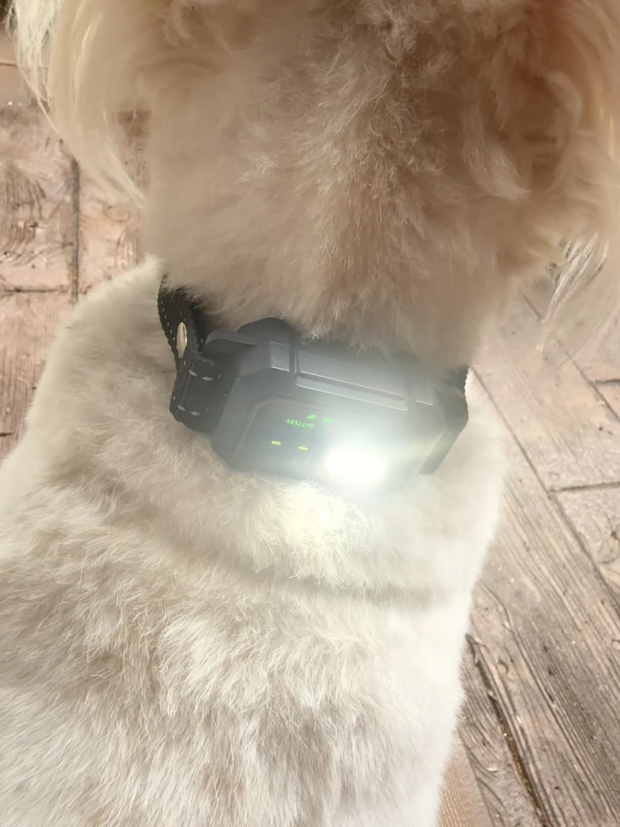 BLACKDOG Military Dog Shock Collar - 4200ft Dog Training Collar with Remote, 4 Training Modes, Flashlight & Strobe, 3-Month Battery, IP67 Waterproof Dog E Collar for All Breeds 5-150lbs customer photo 1