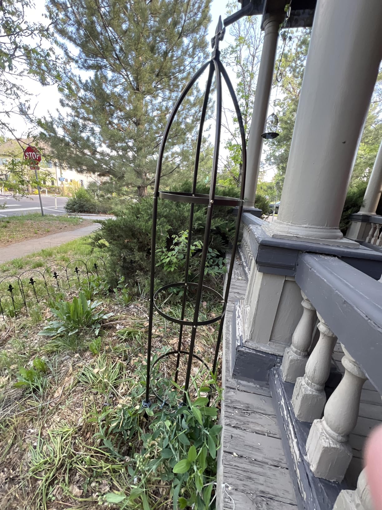 Garden Obelisk Trellis 100% Metal Heavy Duty 5.5 ft for Climbing Vines | Upgraded 16mm Thick Steel Tubes Bronze Rustproof Tower, Medium Plant Support Stands for Flowers, Roses, Clematis & Tomatoes customer photo 1