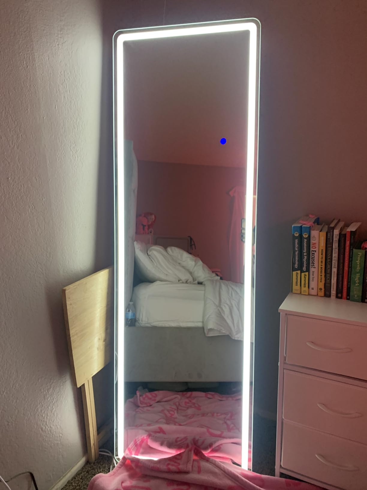 Sweetcrispy Full Length Mirror with LED Lights, 65