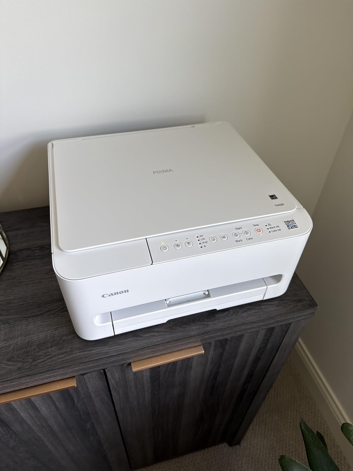 Canon PIXMA TS4320 - Wireless Color Inkjet Printer with Print, Copy, Scan | Cost Efficient Multi-Function Photo Printer, Copier, Scanner for Home Use, Compact Design, Easy Setup customer photo 2
