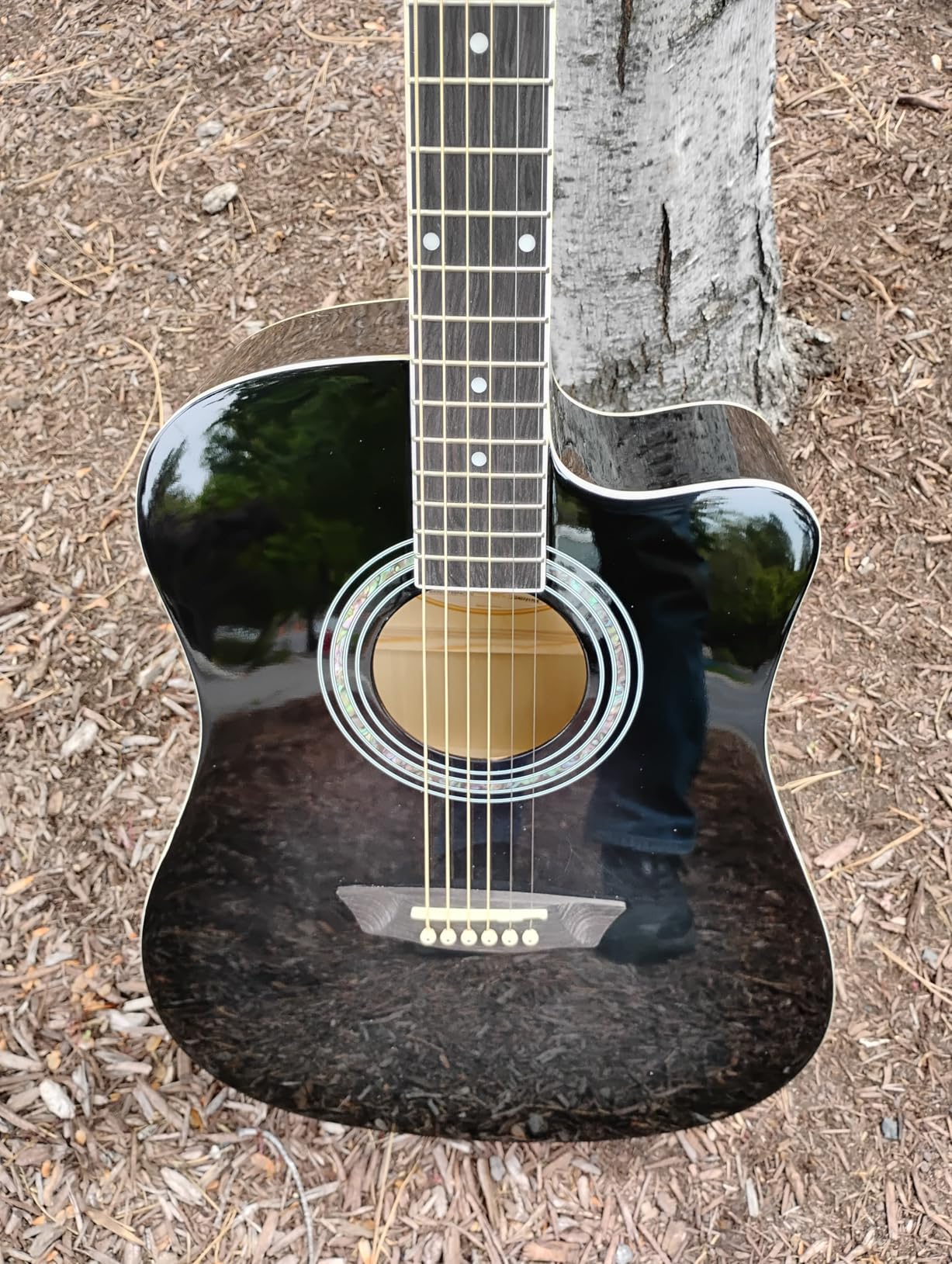 Washburn WA90CE Acoustic-Electric Guitar Kit - Dreadnought Cutaway, Built-In Tuner, Okoume Body - Perfect Holiday Gift for Adults, Beginners, Musicians & Live Performance customer photo 2