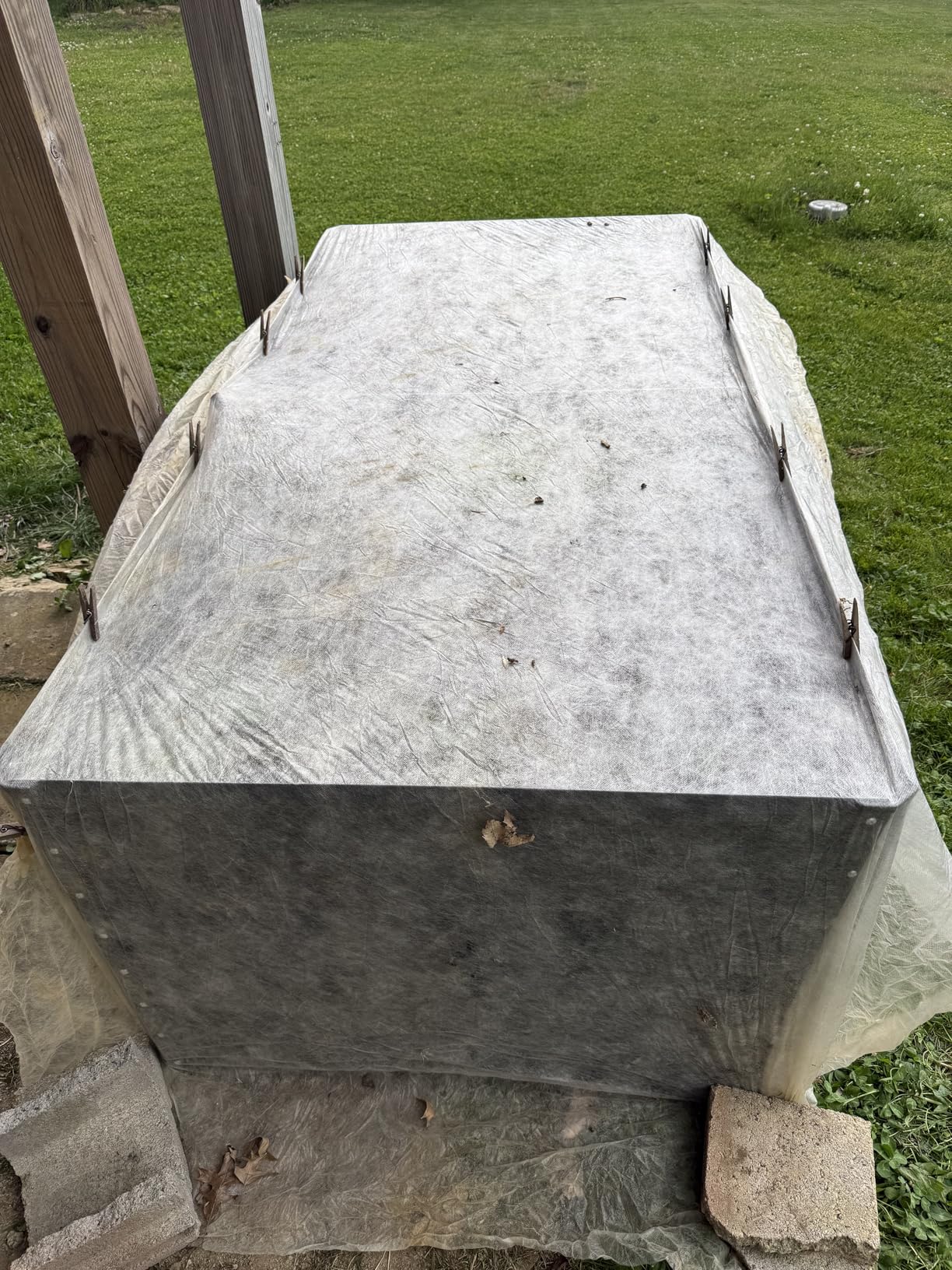 Quictent Raised Garden Bed Galvanized Raised Beds for Gardening Vegetables with Cover 8x4x1 ft Metal Planter Box Outdoor Use customer photo 2