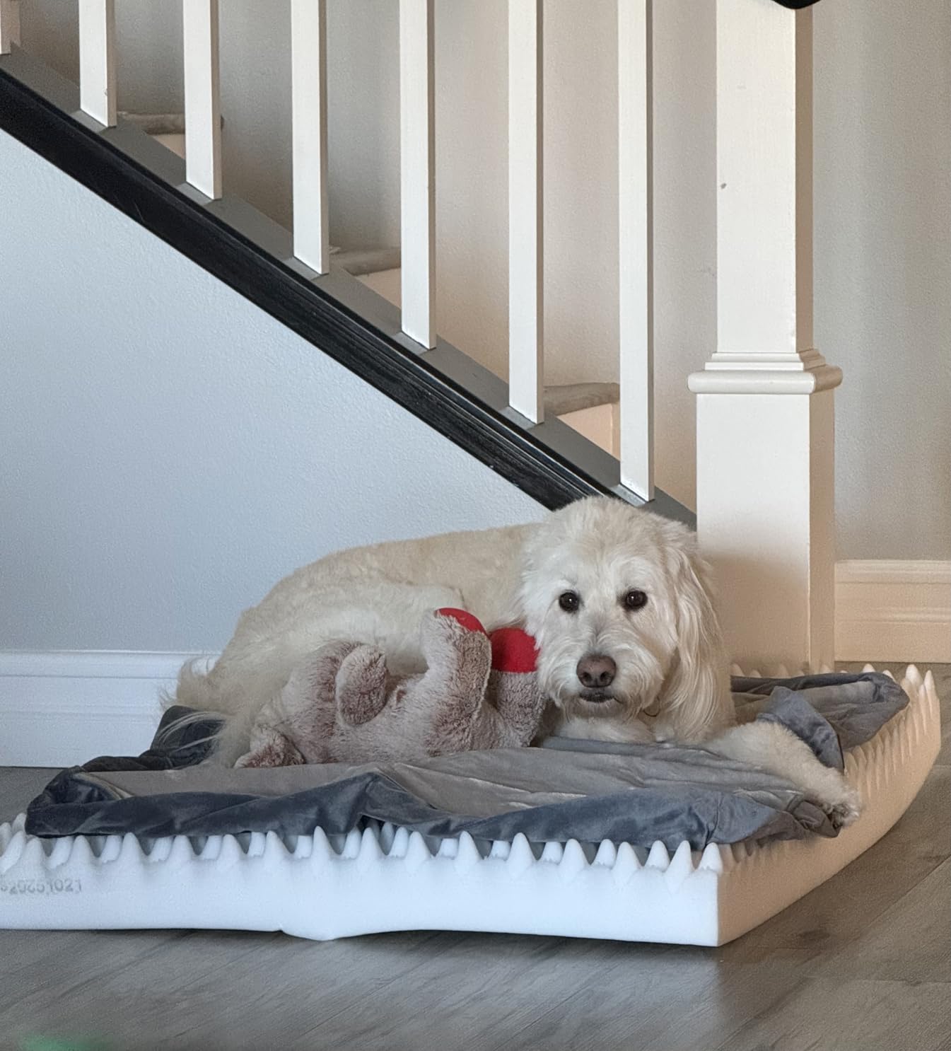 OhGeni Orthopedic Waterproof Large Dog Bed, Memory Foam, 41 inch(Gray) | Machine-Washable Removable Cover in Easy-Clean Fabric, Reversible Memory Foam & Easy-Carry Handle, Suitable for Crate customer photo 2