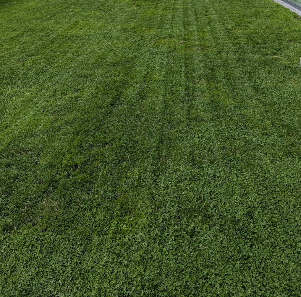LiDAX Ultra 2000 Robot Lawn Mower with 4G for 0.5 Acre, No Wire No RTK+360° 3D LiDAR+AI Vision Auto Mapping, Zero-Edge Cutting, Cut Height 1.2