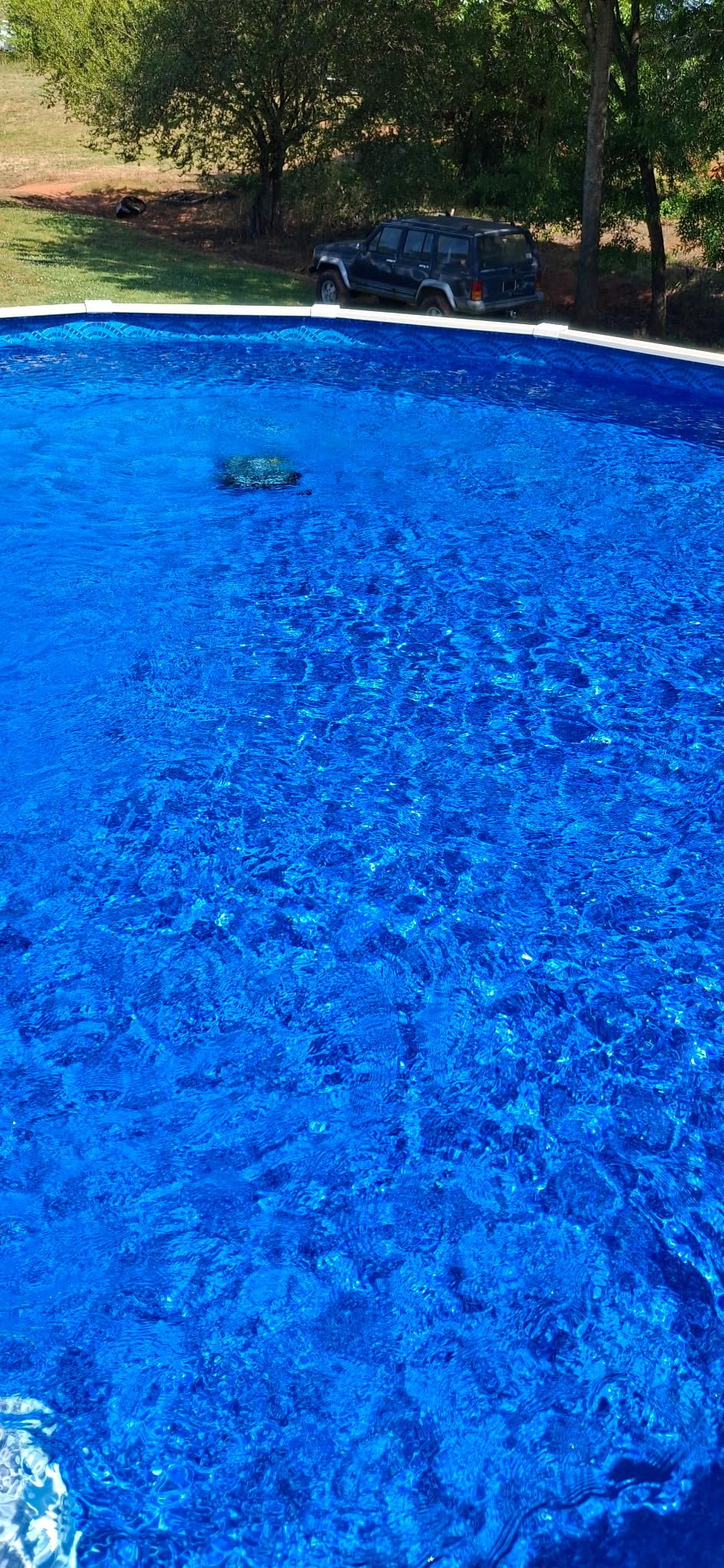 WYBOT C2 Cordless Robotic Pool Cleaner, Dual Filtration, Wall Climbing & Waterline Cleaning, App Scheduling, Smart Navigation, Pool Vacuum for Inground Pools (Gray) customer photo 2