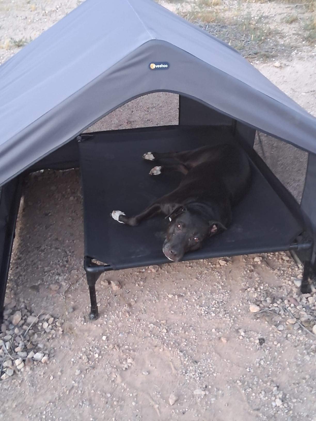 Veehoo Extra Large Dog House Outdoor Includes Elevated Dog Bed-Weatherproof | Waterproof Outside Dog Tent 4.1' x 4.1' x 3.3', Dog Shade Shelter and Raised Bed Combo for Pets or Stray Animals, Grey customer photo 1
