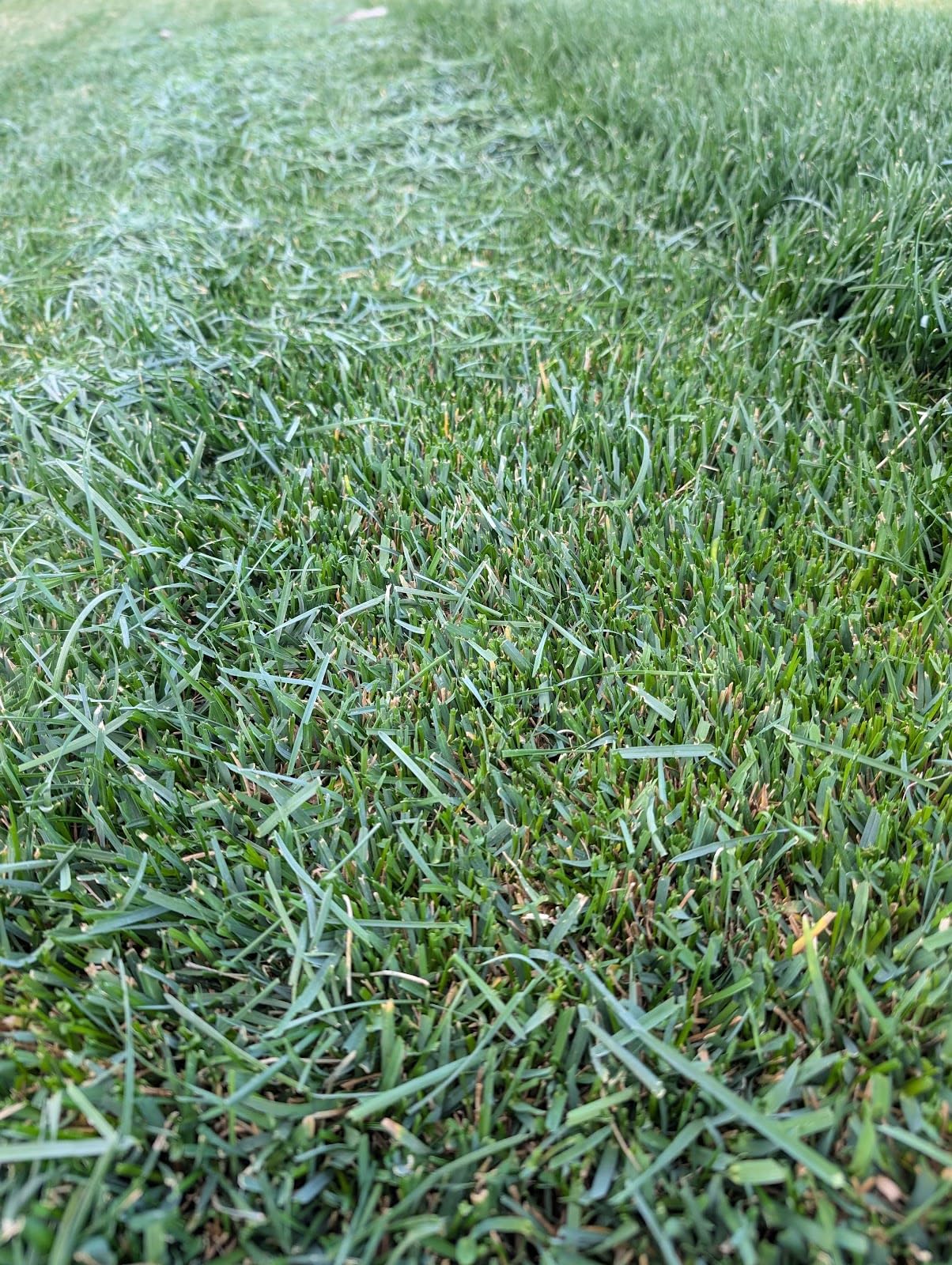 ECOVACS Goat A3000 LiDAR PRO Robotic Lawn Mower, Dual LiDAR Navigation customer photo 1