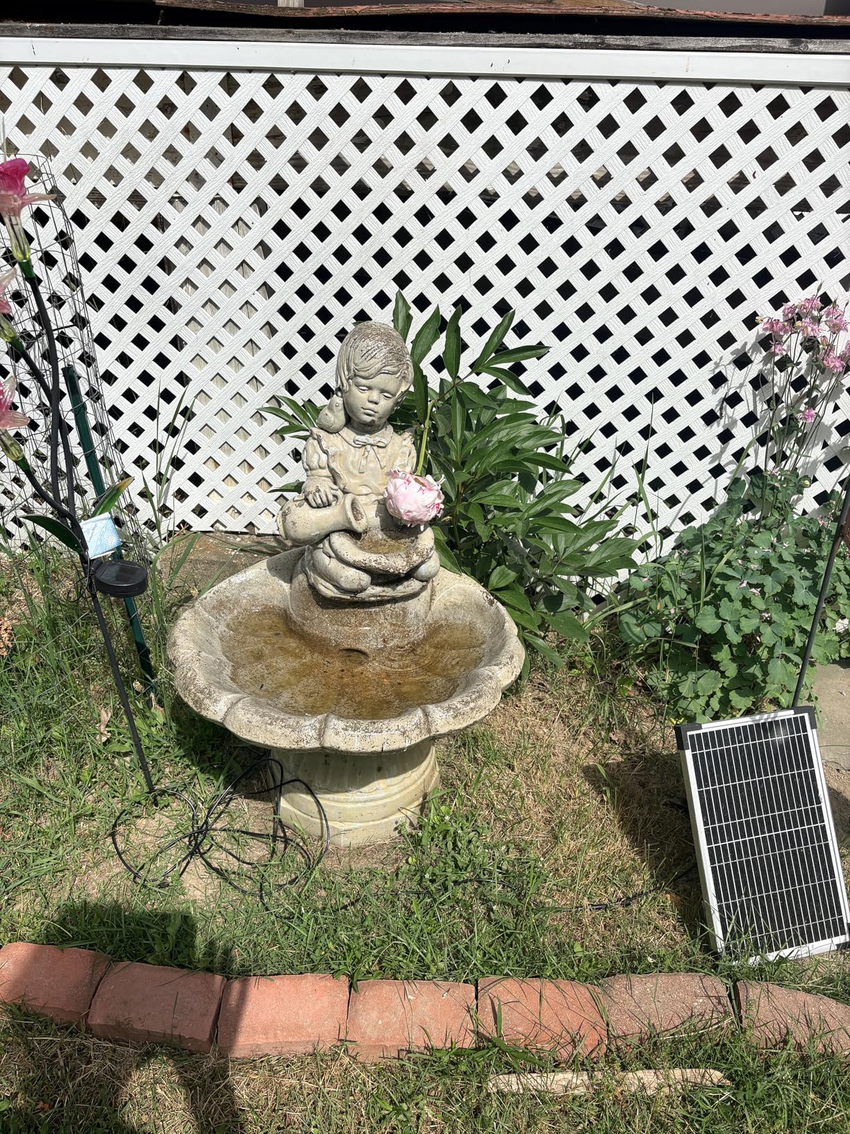 POPOSOAP 12W Solar Water Fountain Pump, Solar Water Pump with Flow Adjustable, Solar Pond Pump with Water Shortage Protection & 16.5FT Cord for Ponds, Garden, Waterfall, Hydroponics-P112H customer photo 1