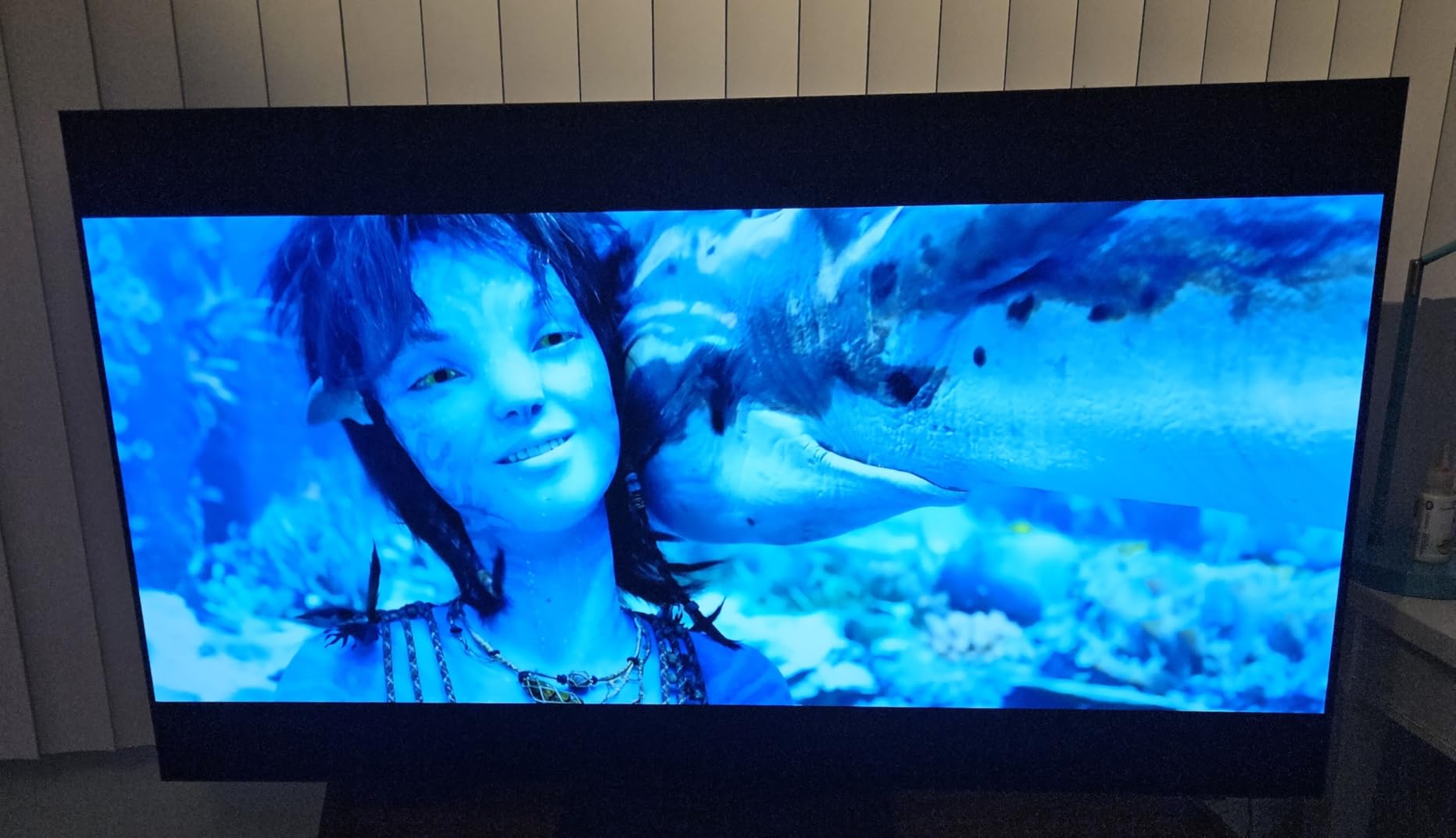 Samsung S90H OLED customer photo 1