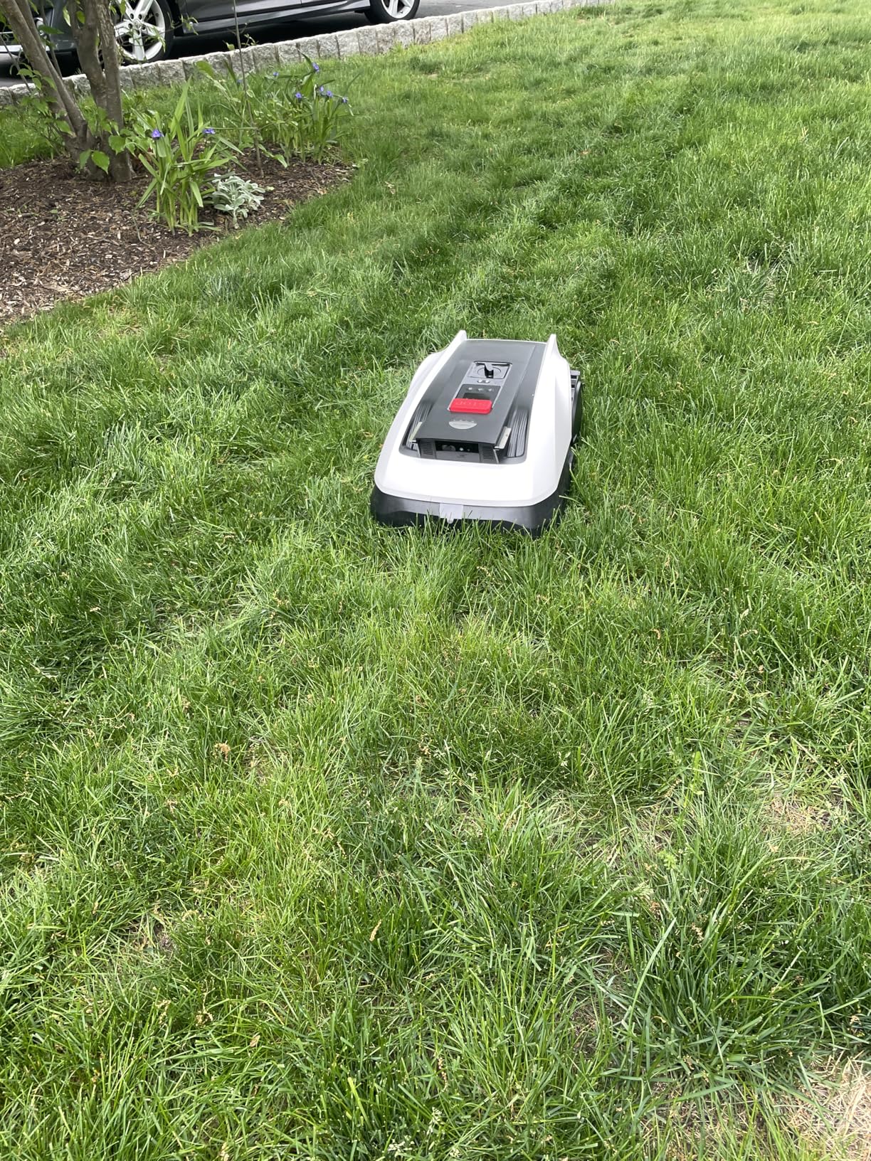ECOVACS Goat O1000 RTK Care Kit Robotic Lawn Mower with RTK Precision Navigation, No Perimeter Wire, Smart App Control, Auto Mapping, Multi-Zone Management - Includes 36 Extra Blades customer photo 2